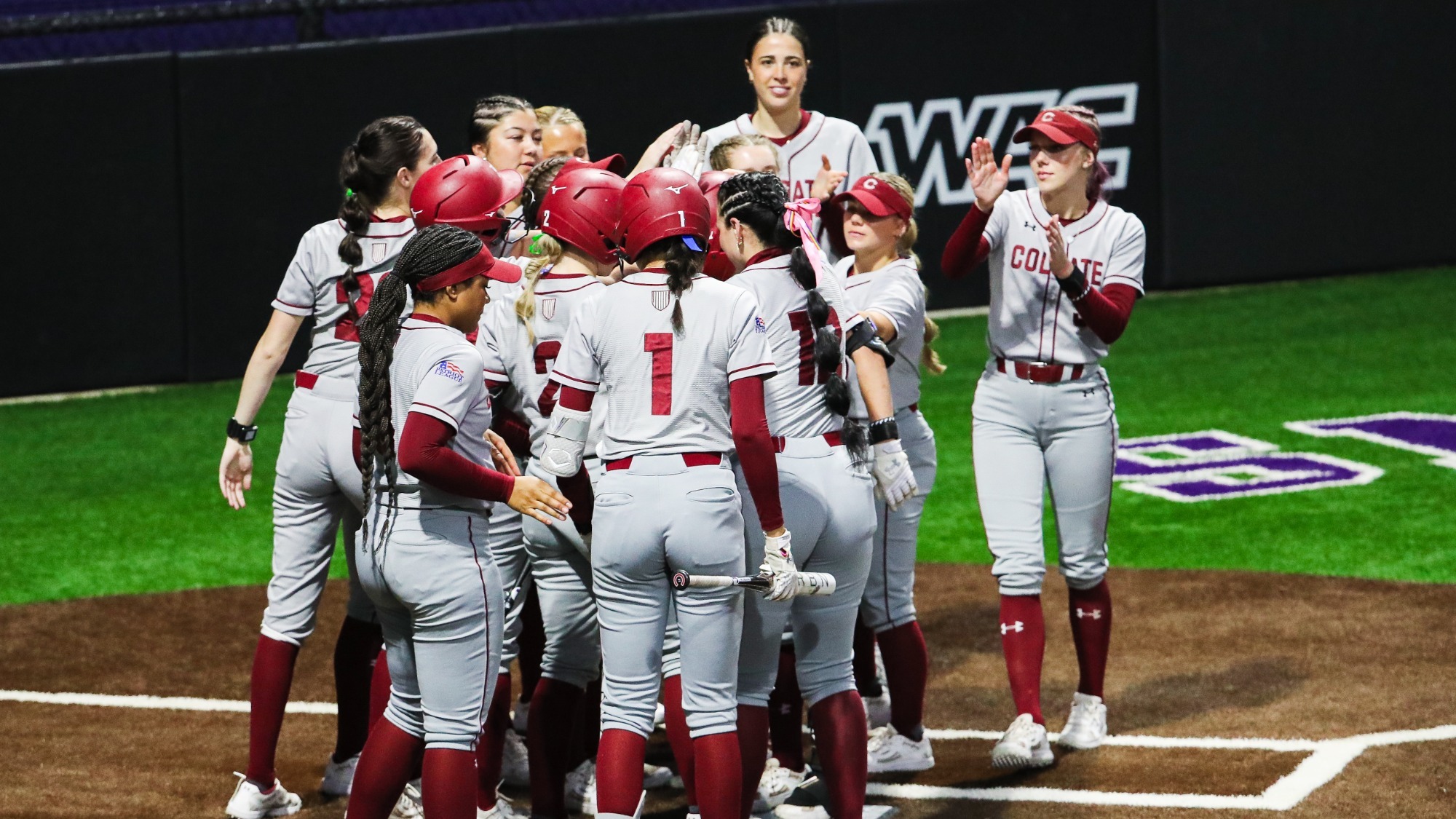 Softball Celebration