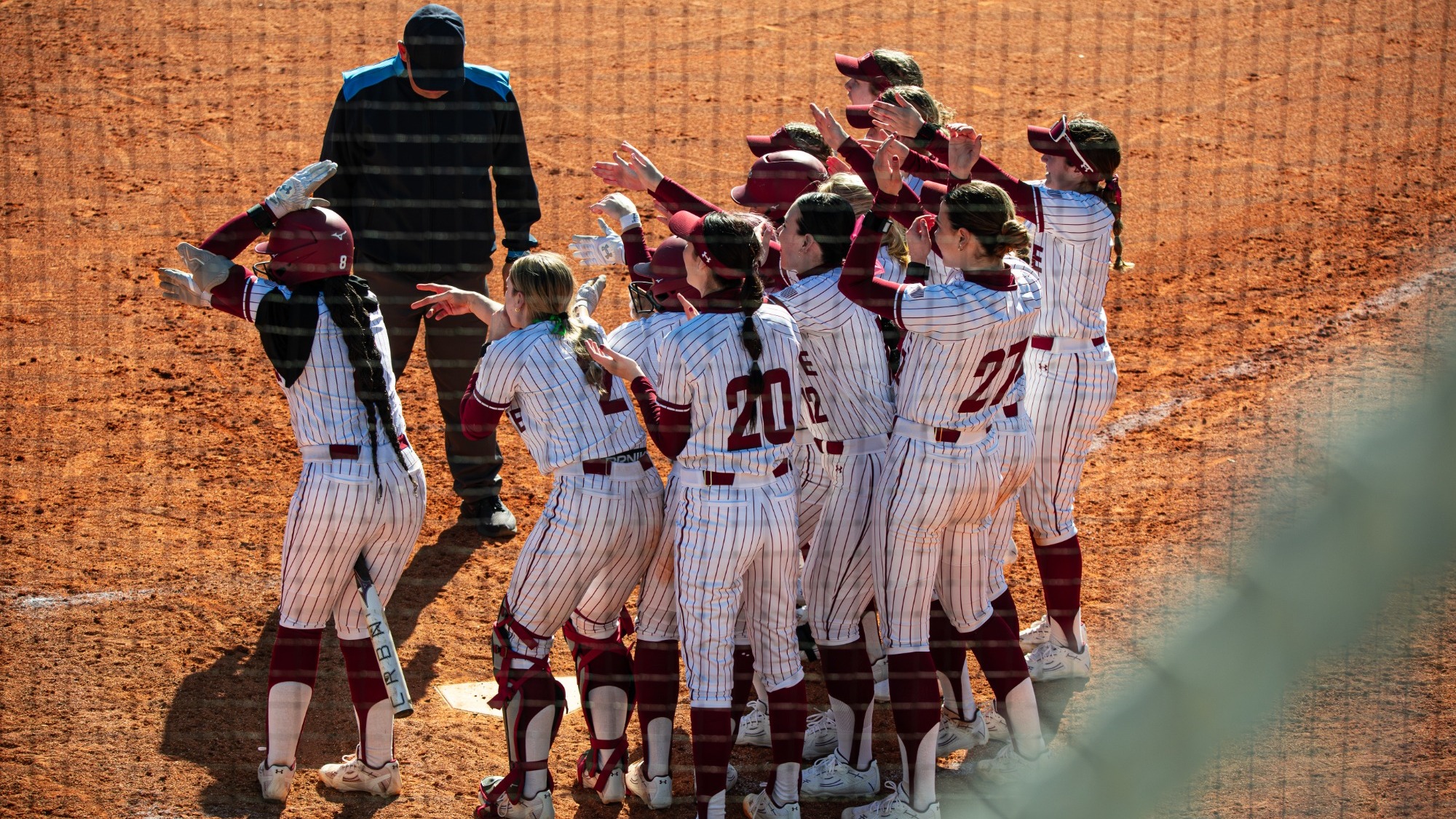 Softball Celebration