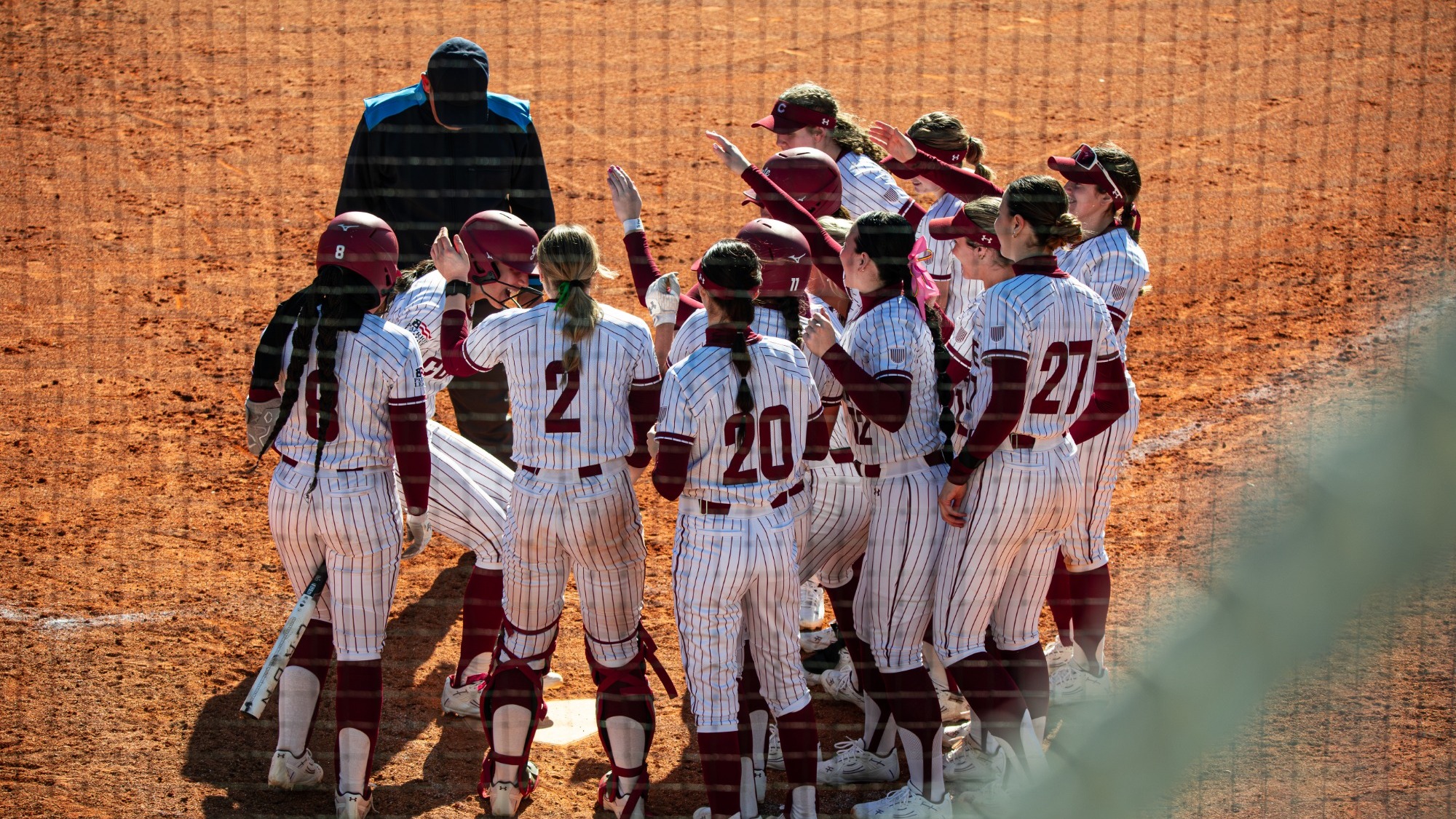 Softball Celebration