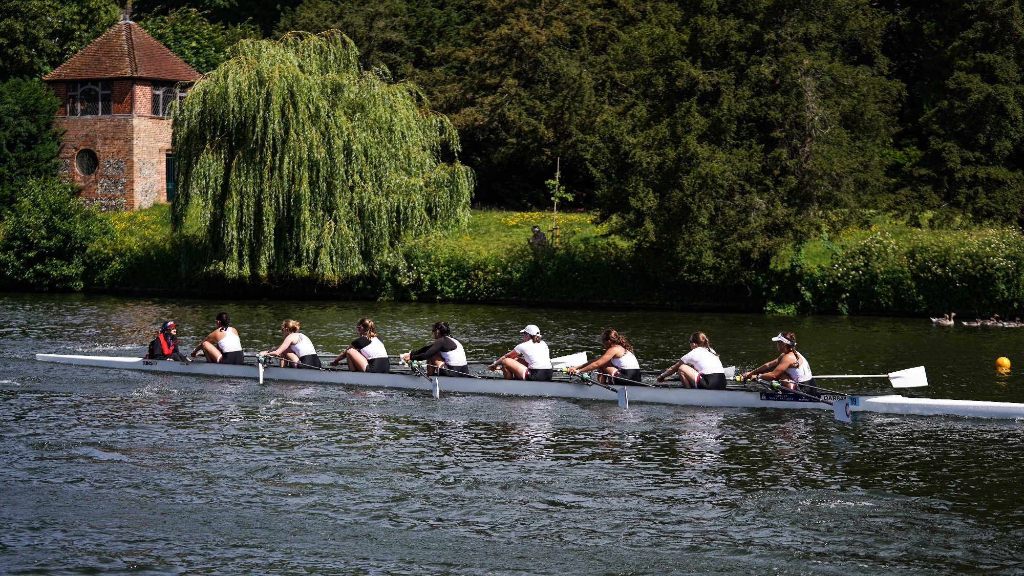 Women's rowing