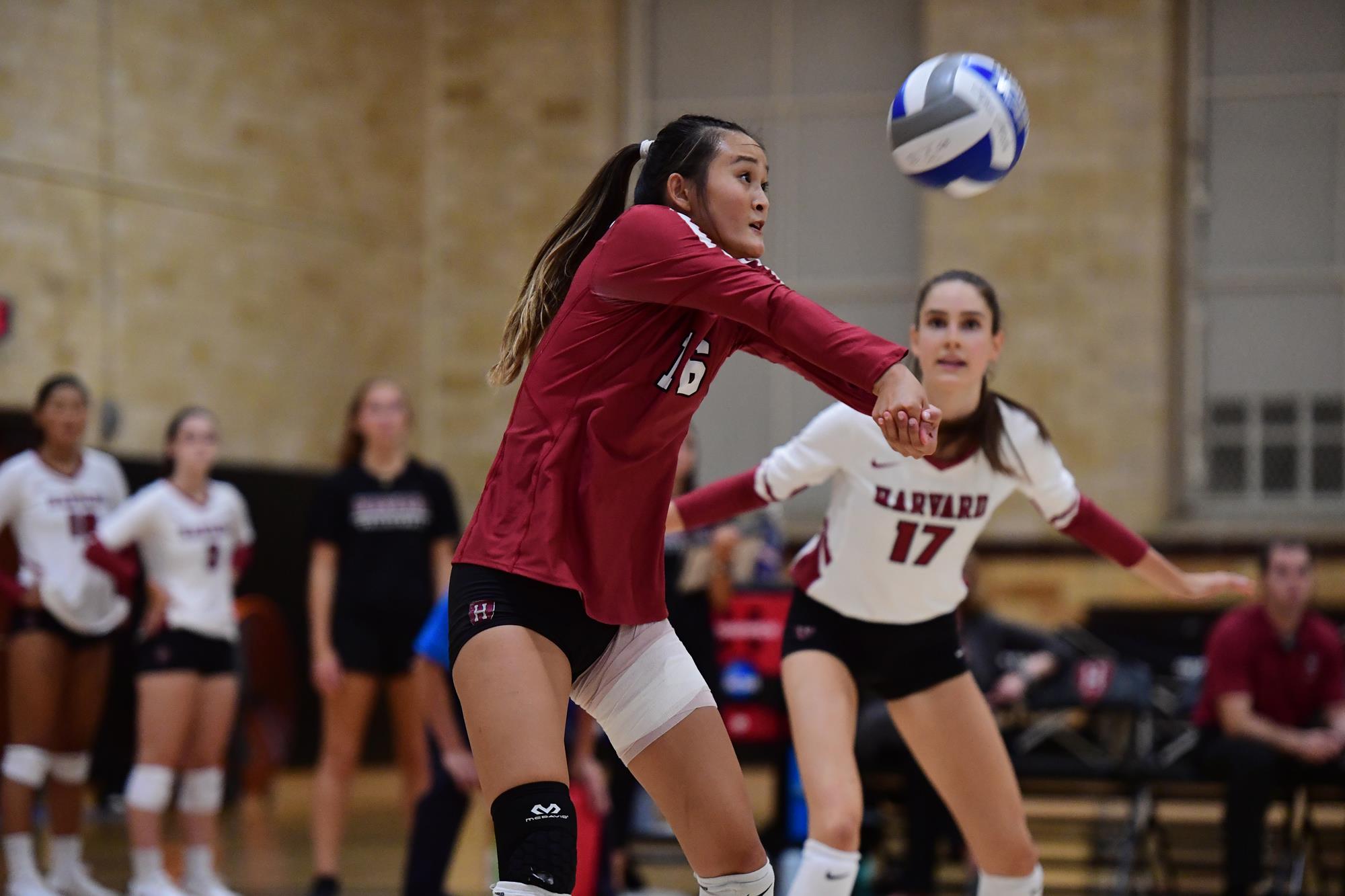 Sandra Zeng 2020 Women's Volleyball Harvard University