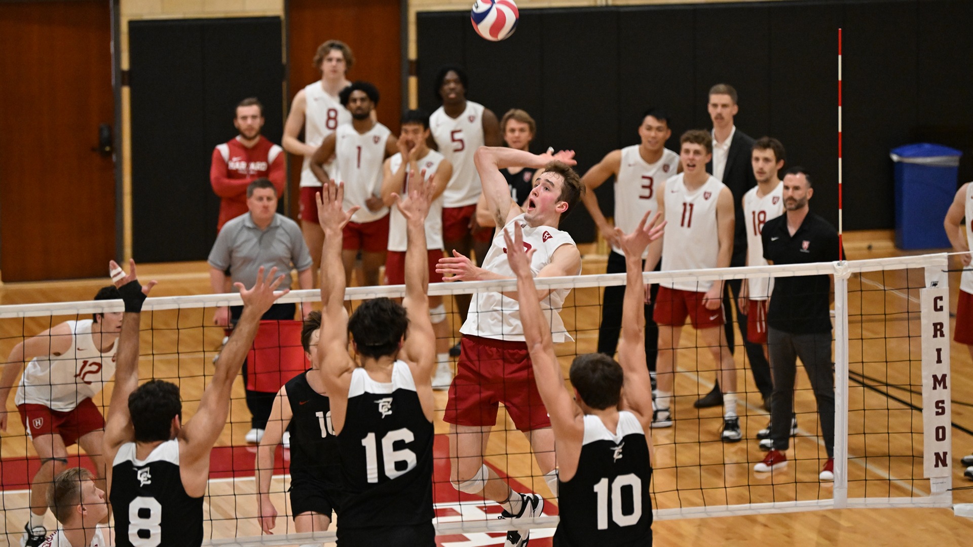Owen Fanning 2024 Men's Volleyball Harvard University