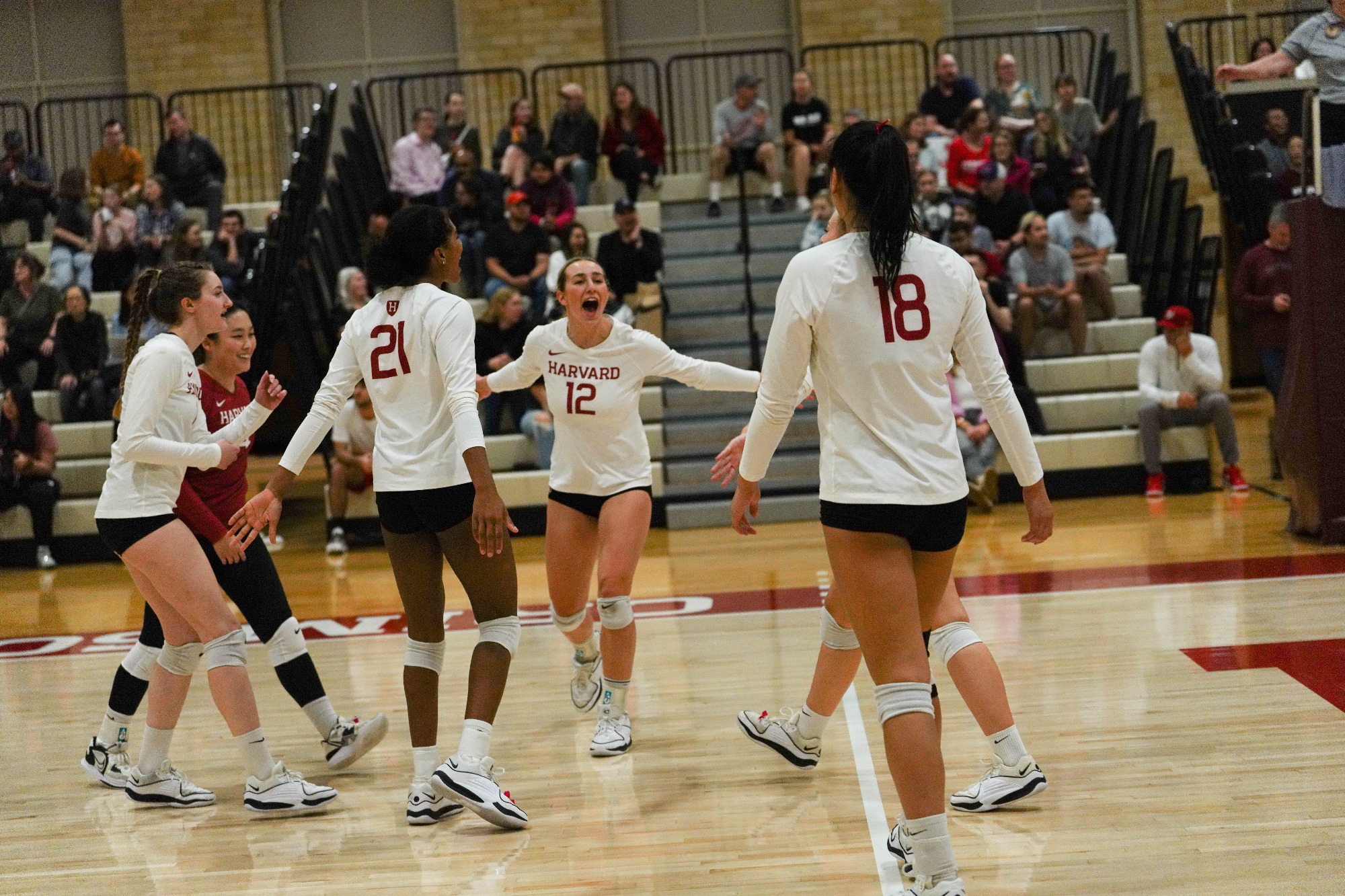 Women’s Volleyball Sweeps Brown, Sits Alone in Third Place in Ivy