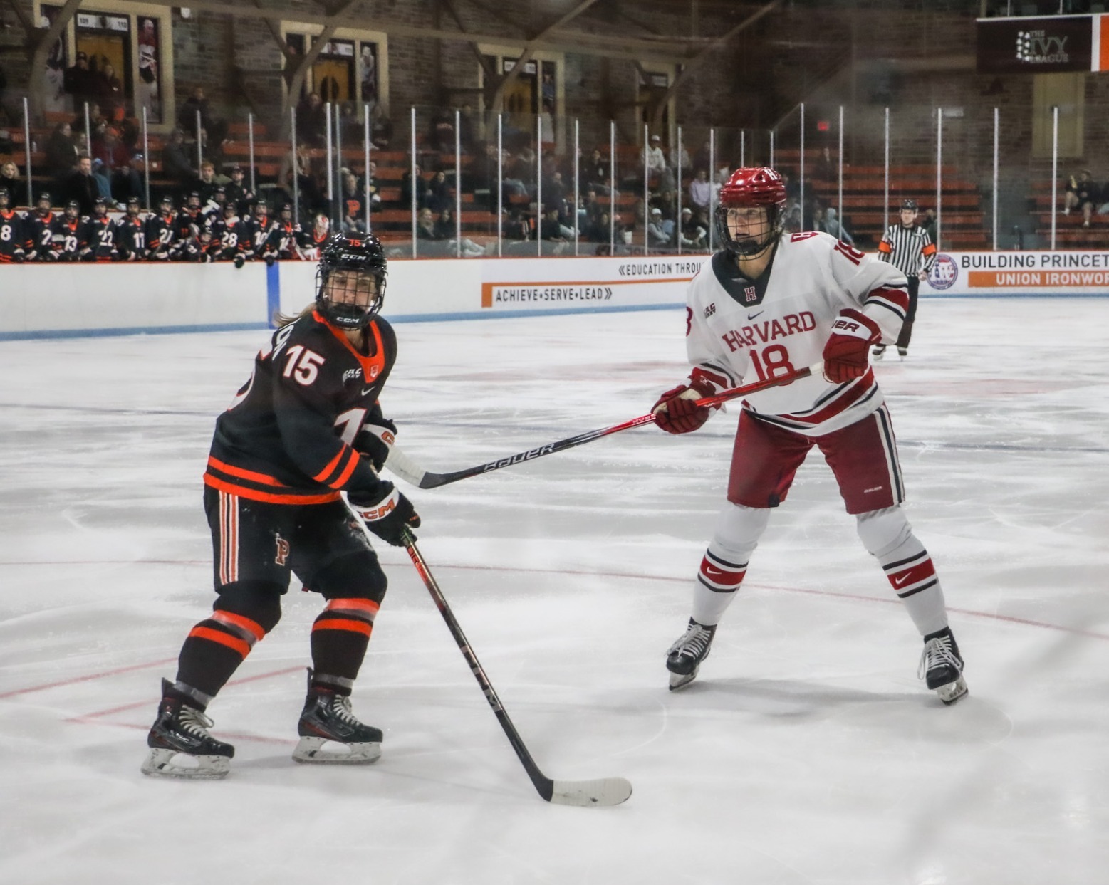 Women's Ice Hockey Battles to 11 Tie At No. 15 Princeton Harvard