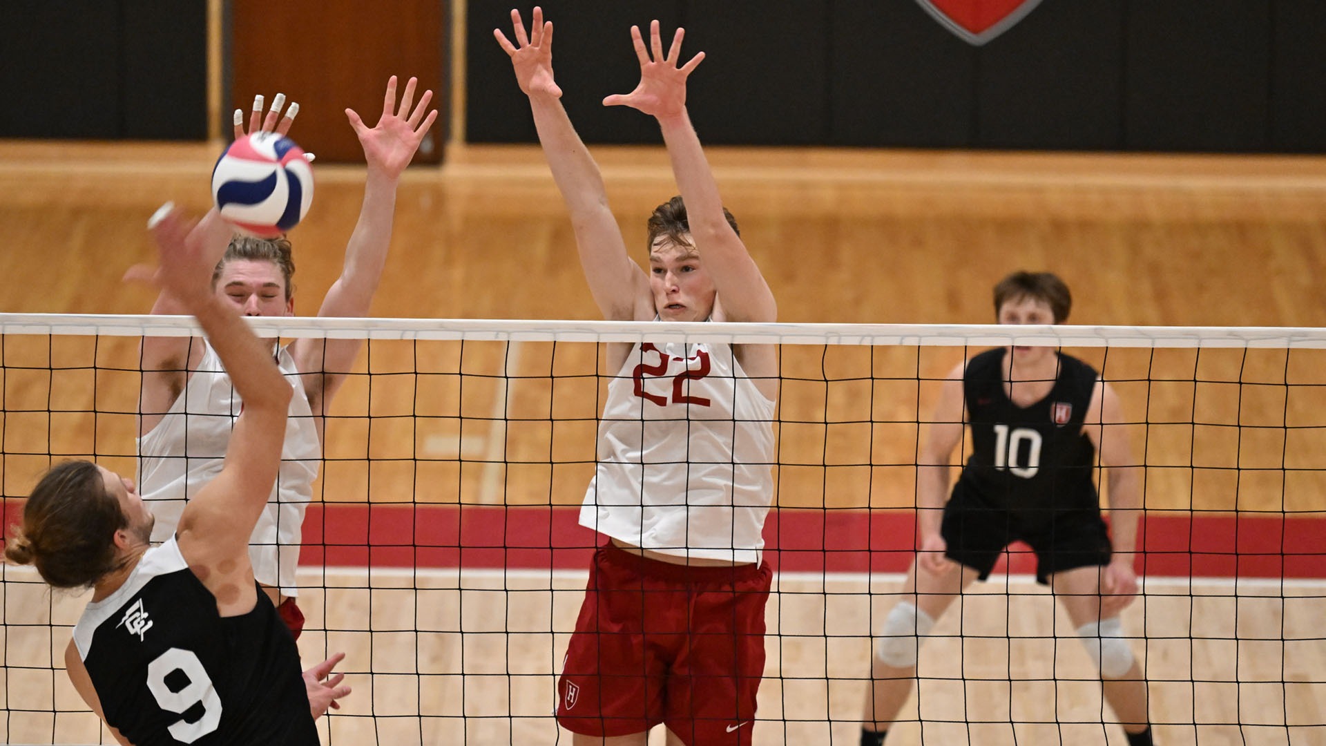Trevor Schultz 2024 Men's Volleyball Harvard University