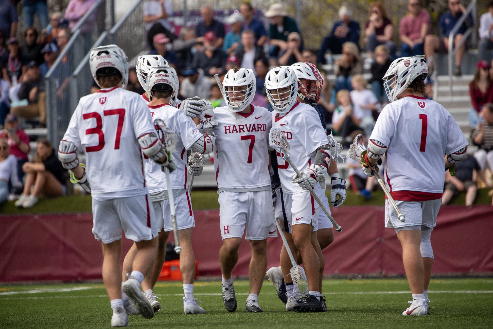 Harvard Men’s Lacrosse to Host HLX Kickoff Scrimmage This Friday