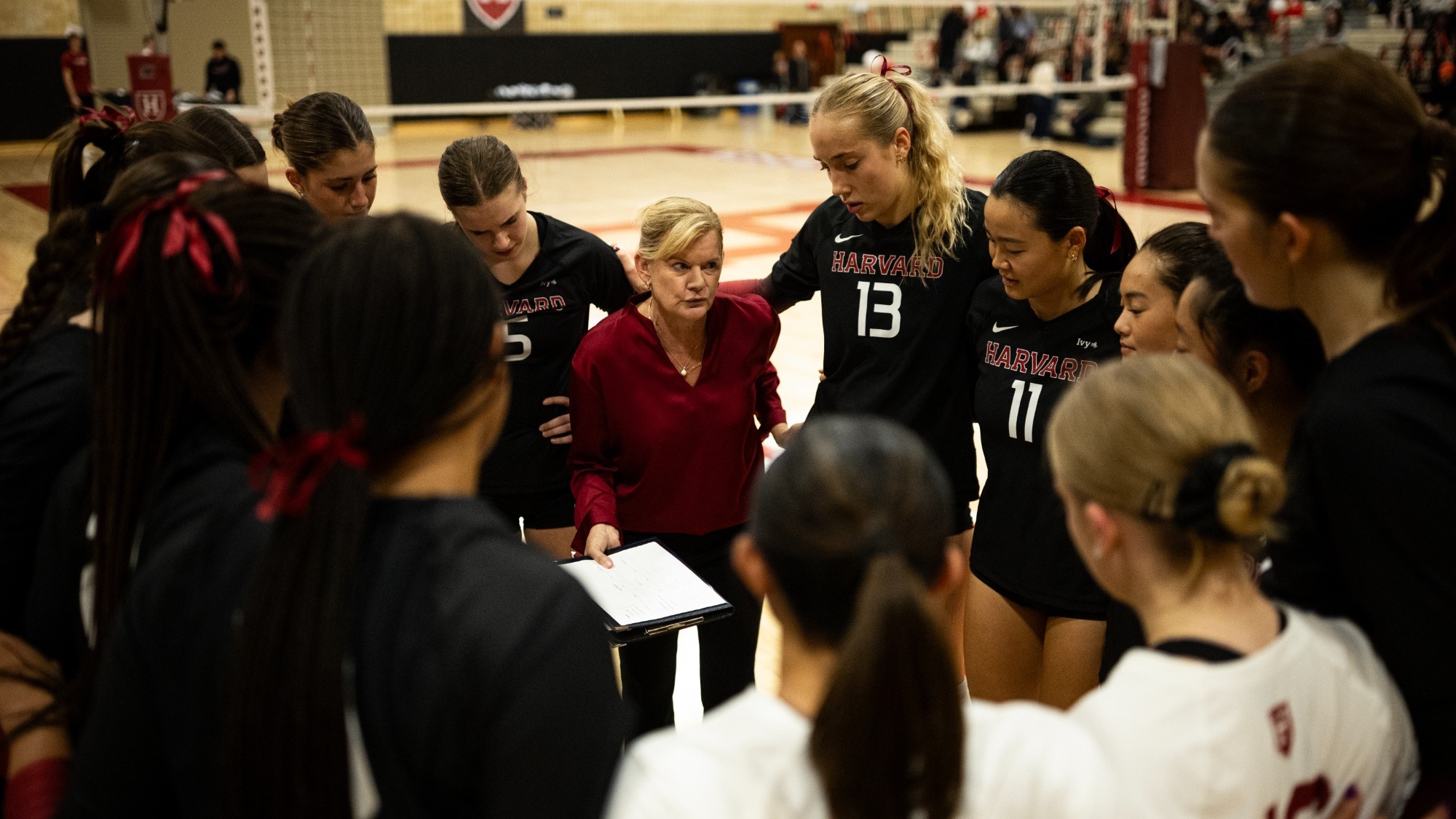 harvard women's volleyball