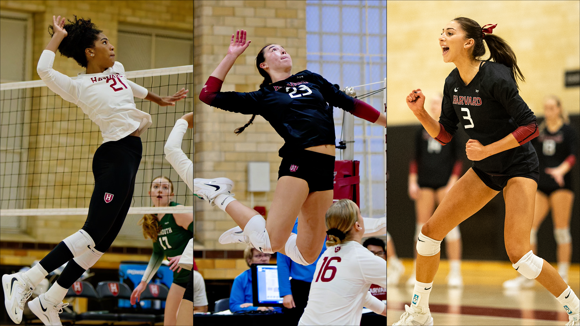 Women's Volleyball All-Ivy