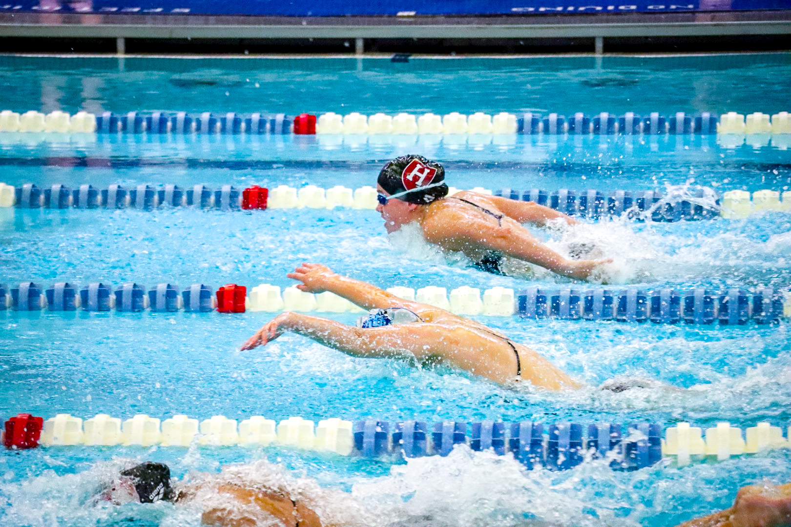 Harvard Women's Swimming and Diving at Columbia (Anastasija Ignjatovic)