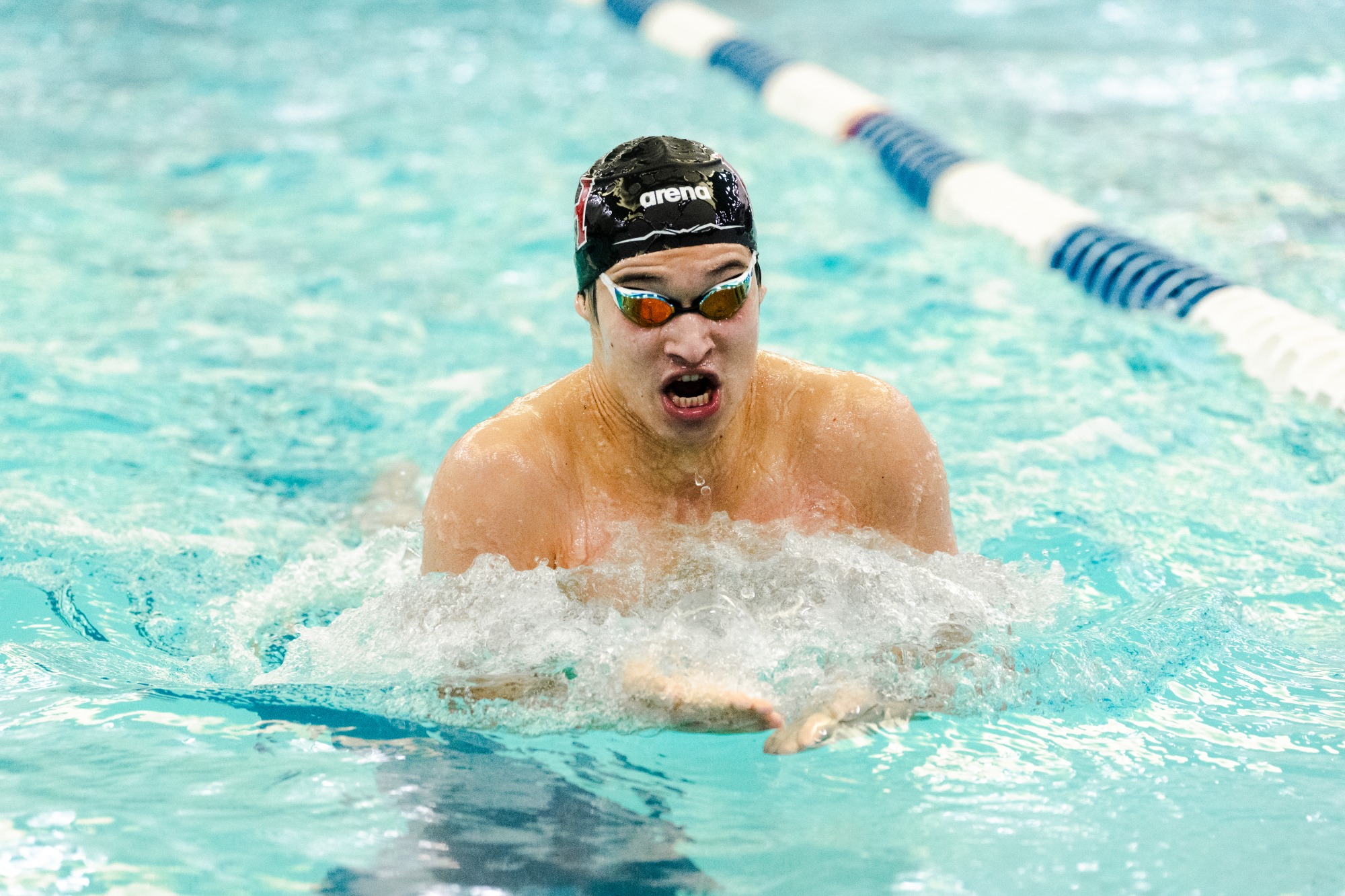 Harvard Men's Swimming and Diving at Columbia (Joshua Wang)
