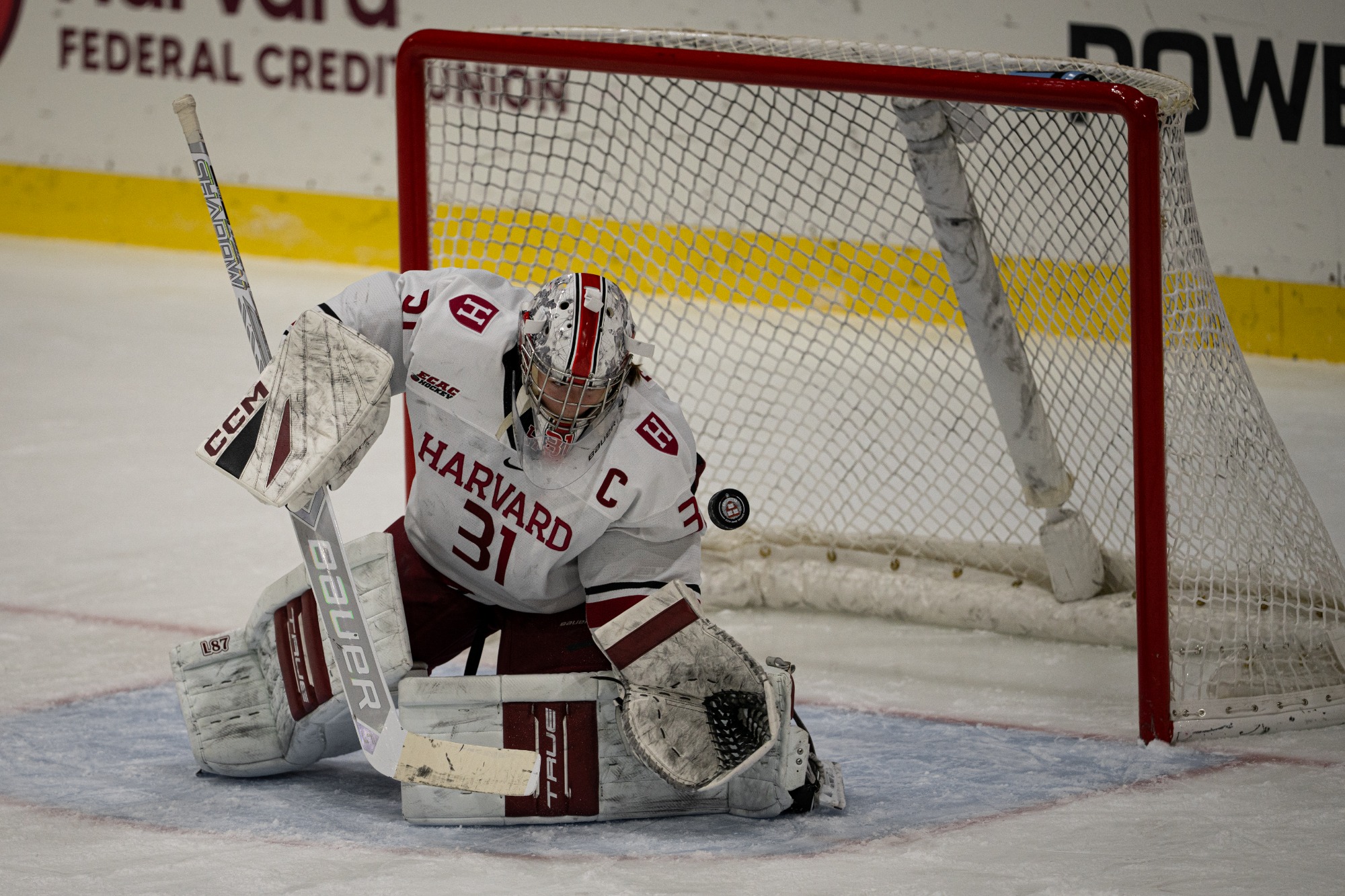 November 8, 2025, Boston, MA: 
at Harvard University, in Boston Massachusetts Saturday, November 8, 2025.  
(Photo by Harvard Athletics)