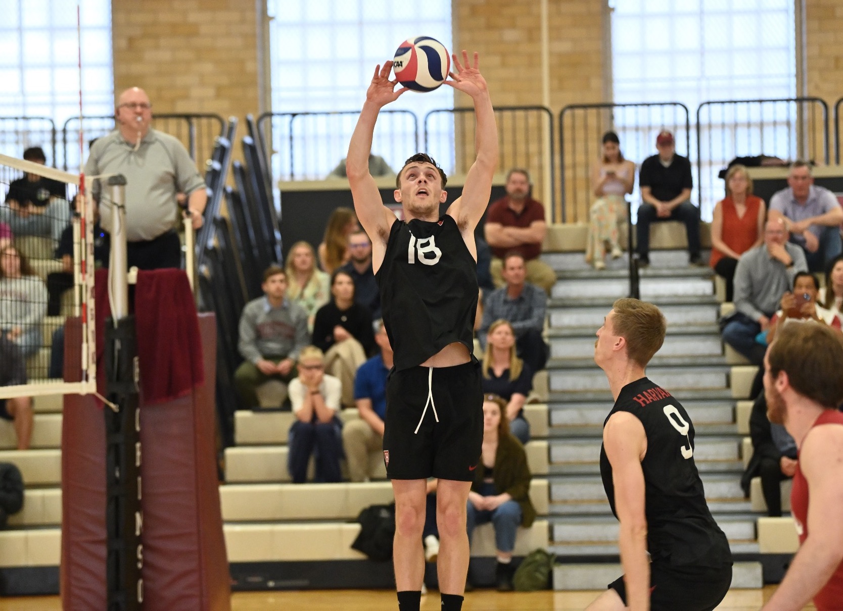 Will Sorenson Setting