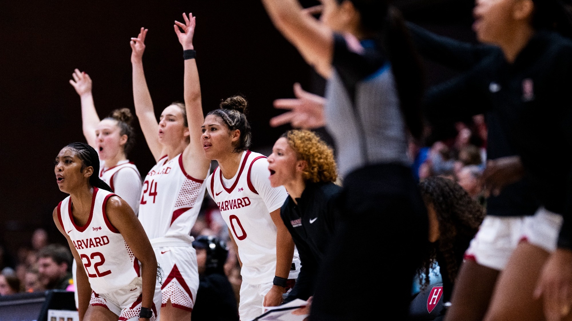 Harvard women's basketball