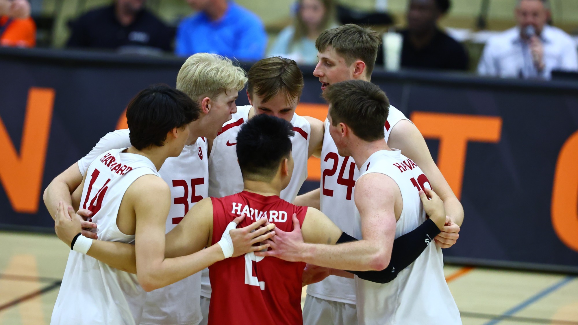 Harvard men's volleyball