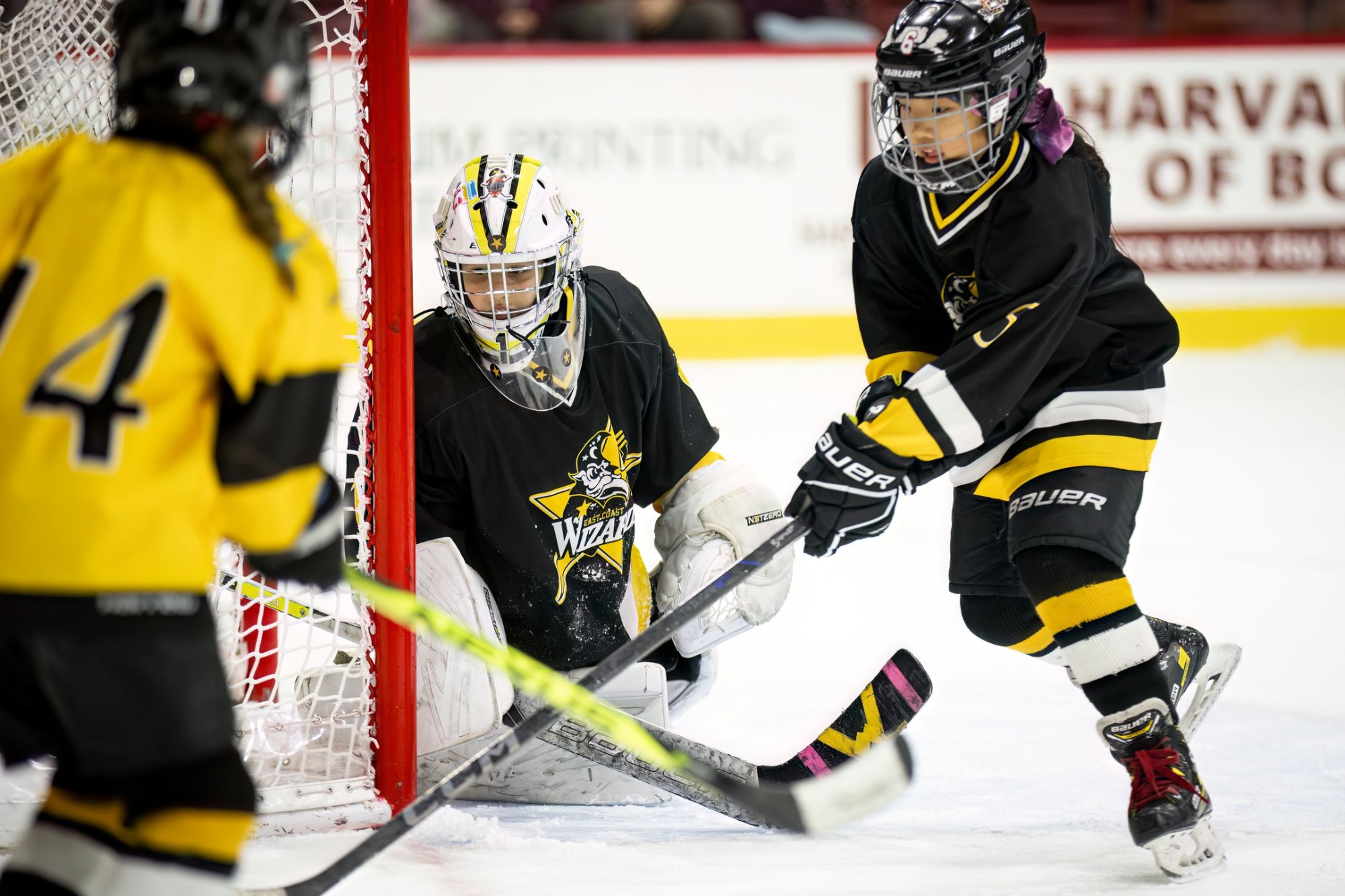 Women's Hockey Intermission Scrimmage