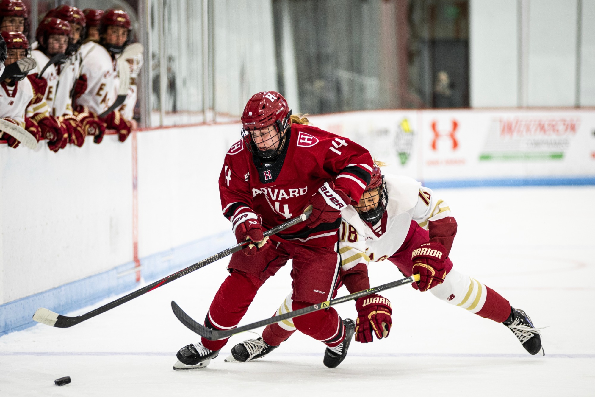 January 13, 2026, Boston, MA: 
at Harvard University, in Boston Massachusetts Tuesday, January 13, 2026.  
(Photo by Eddie Monigan/Harvard Athletics)