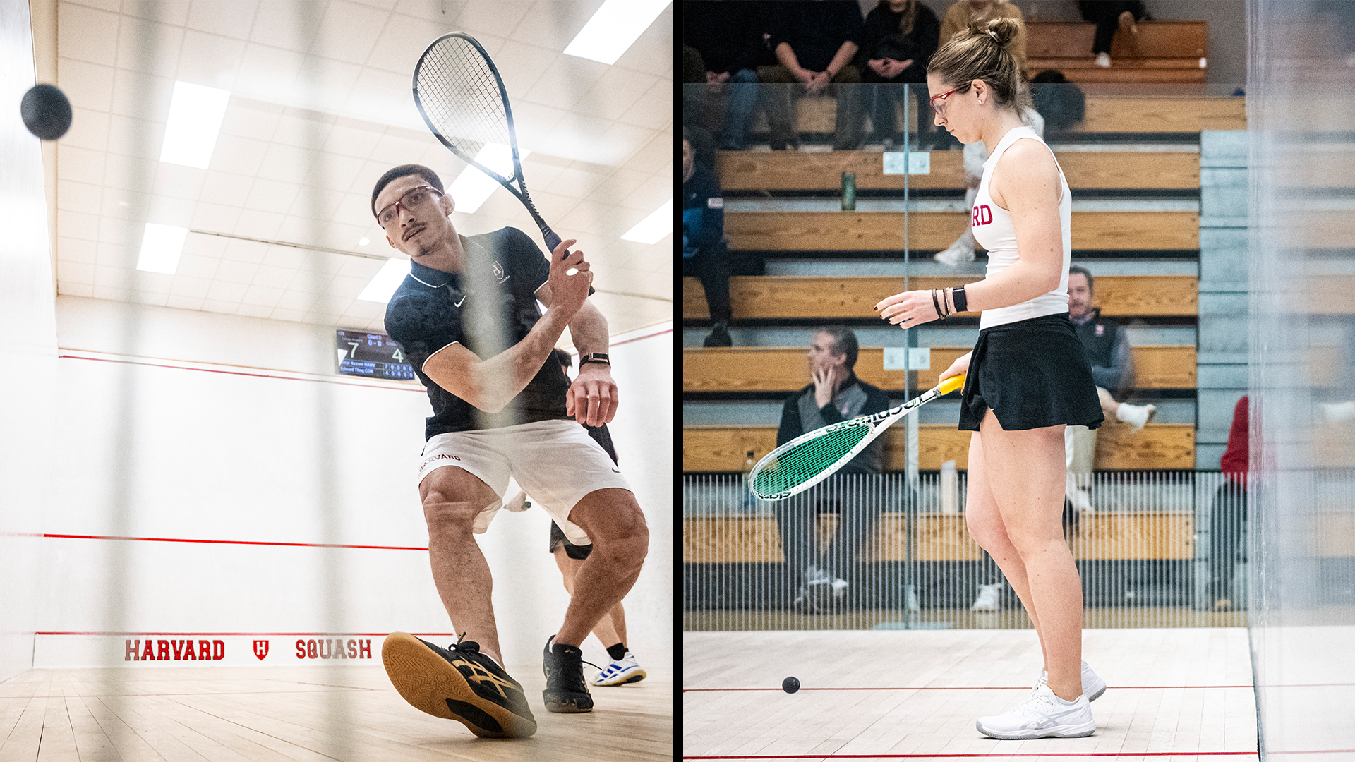 Men's and Women's Squash