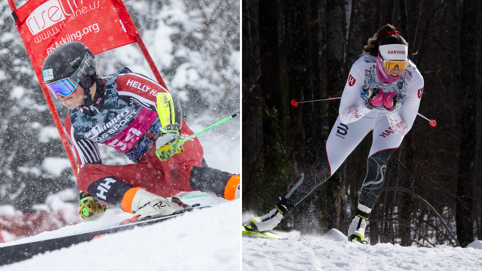 Harvard Skiing