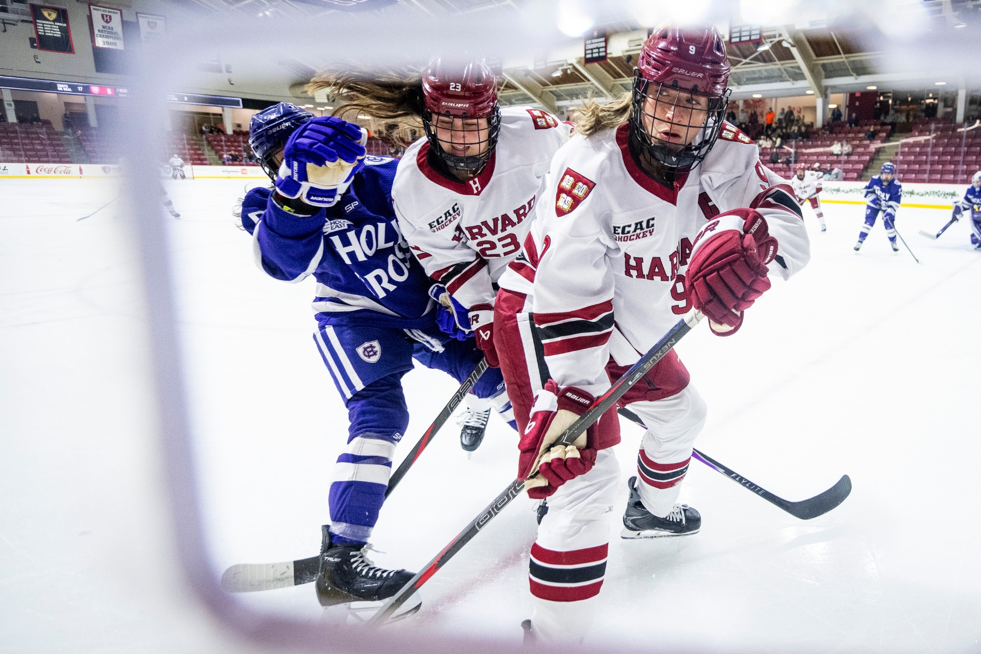 October 17, 2026, Boston, MA: Holy Cross University at Harvard University, in Boston Massachusetts Saturday, October 17, 2026. (Jaiden Tripi/Harvard Athletics)