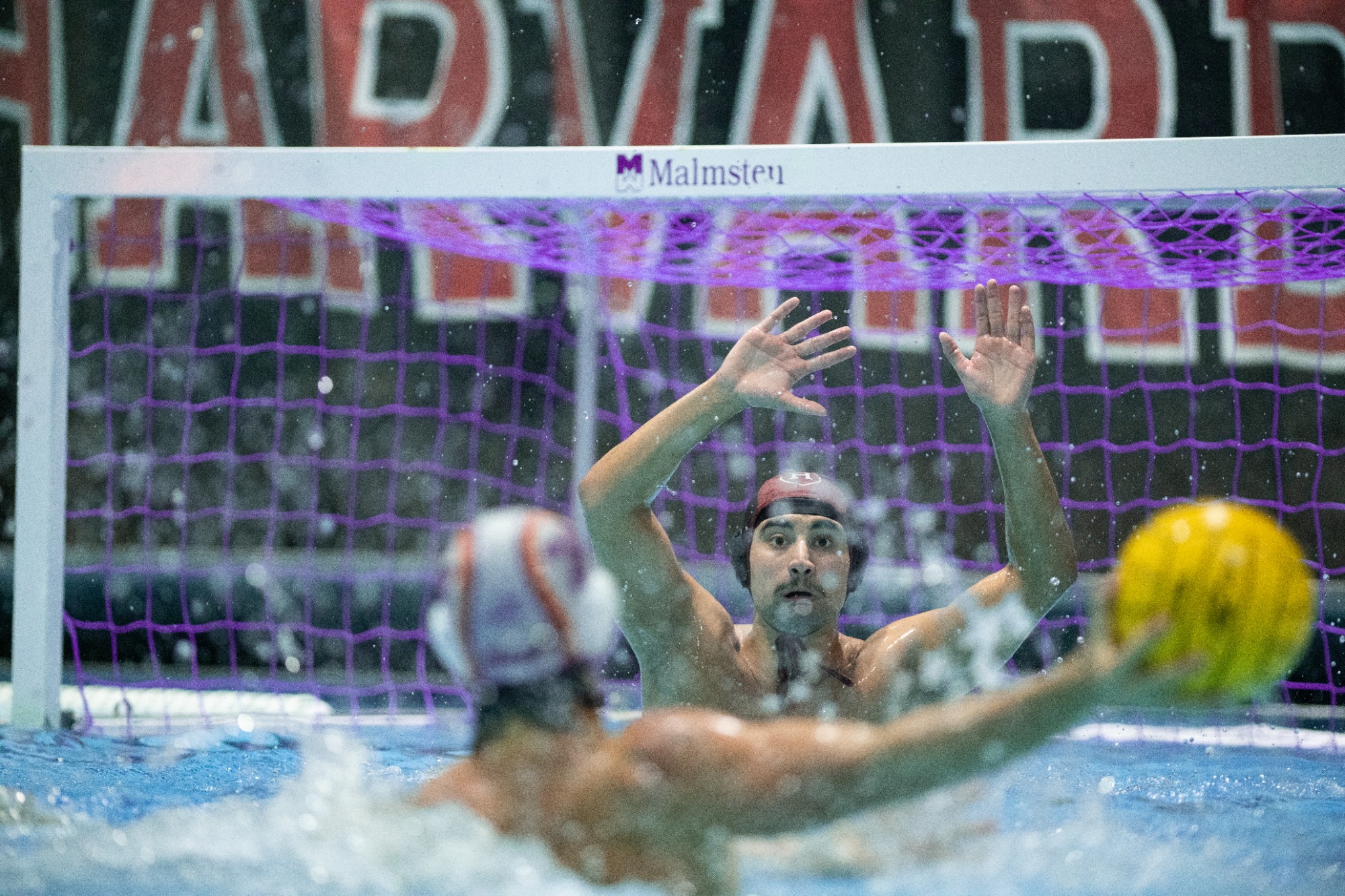 Vila Sogaard Srikrishnan in goal