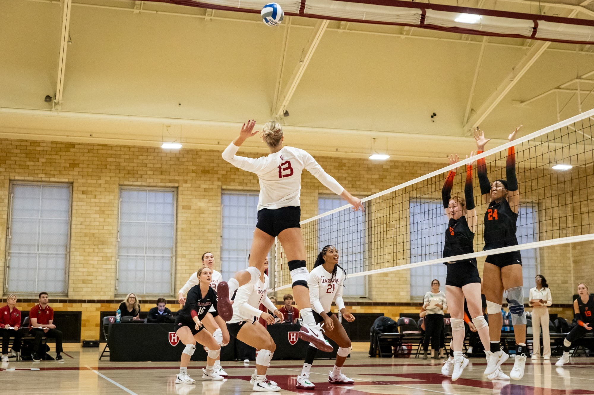 Harvard Women's Volleyball's Ali Farquhar in action on October 16, 2026, with kill.