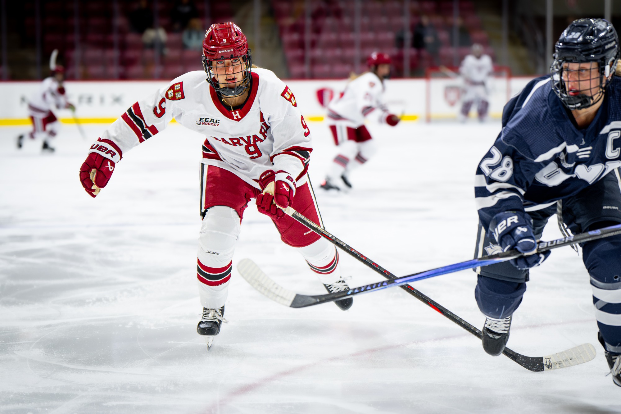 Gwyn Lapp forechecks vs. New Hampshire.