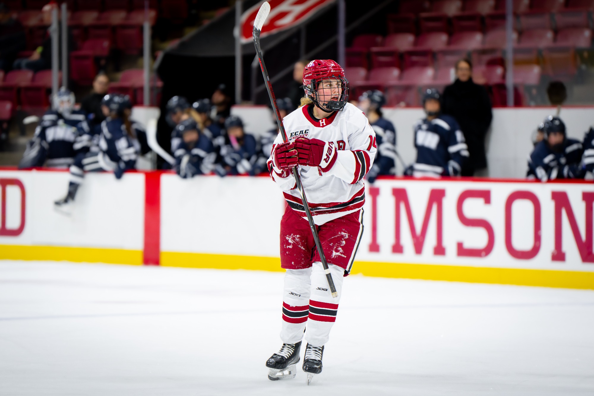 Carla McSweeney vs. New Hampshire.
