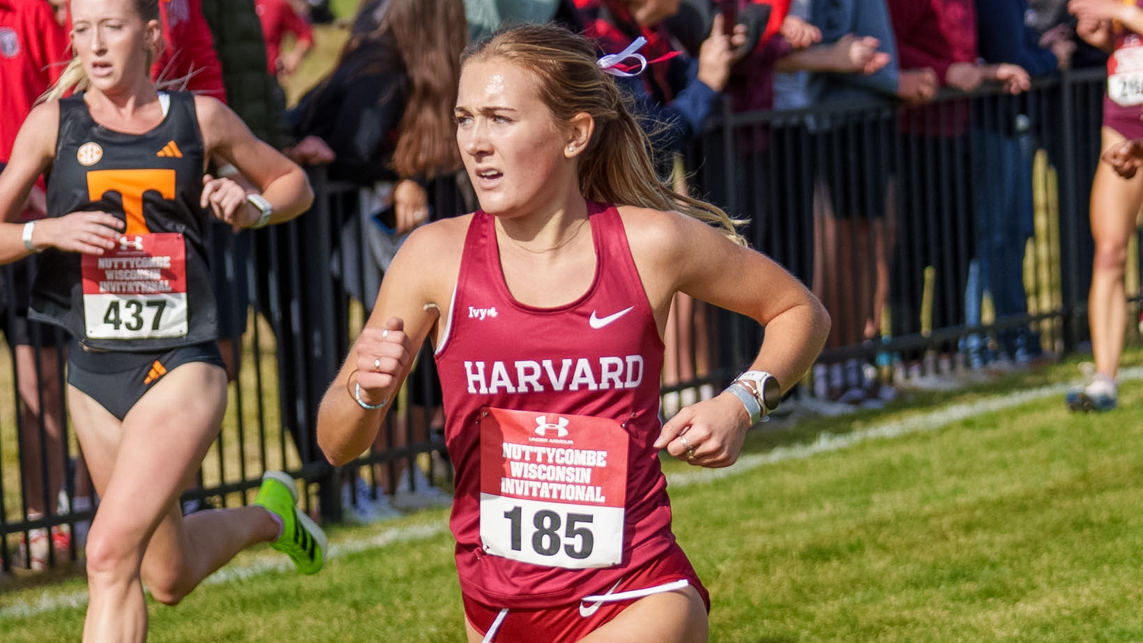 Harvard XC