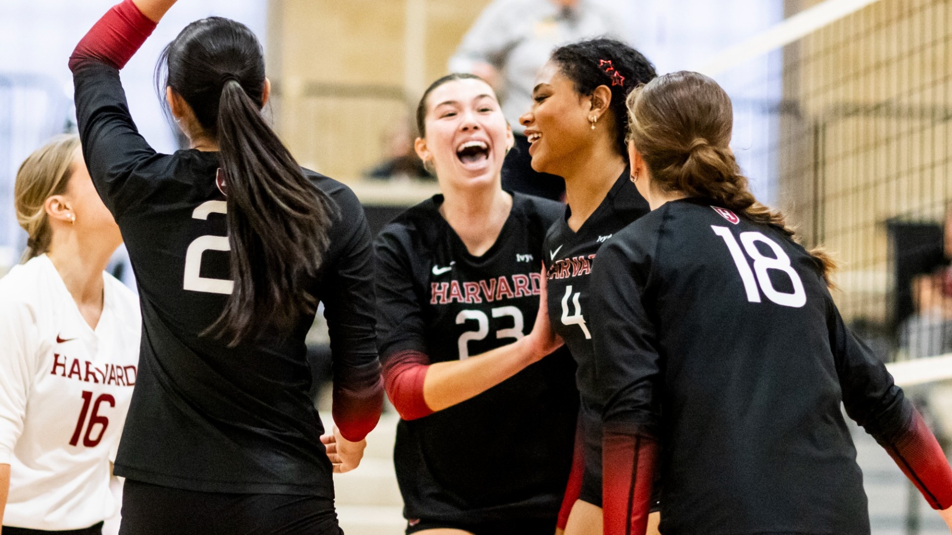 Harvard Women's Volleyball Celebration