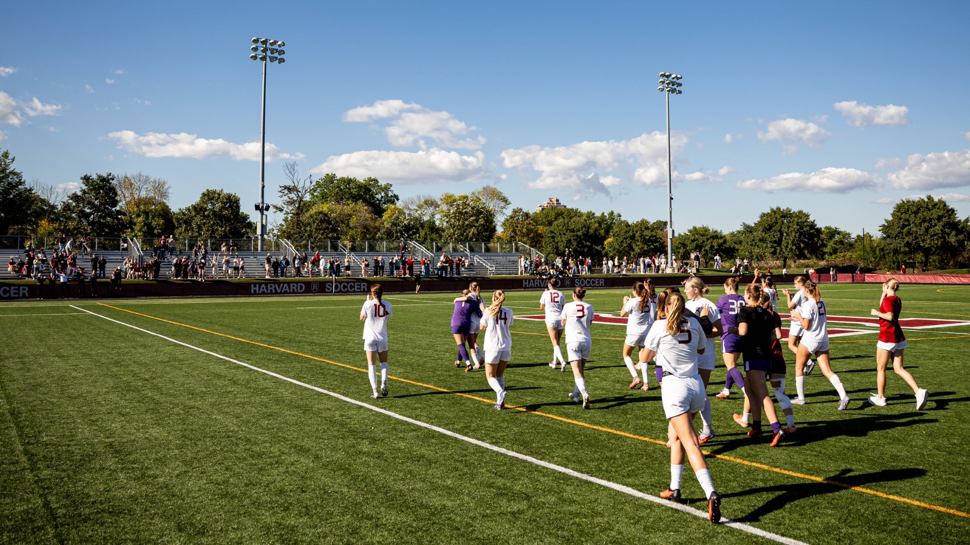 harvard women's soccer
