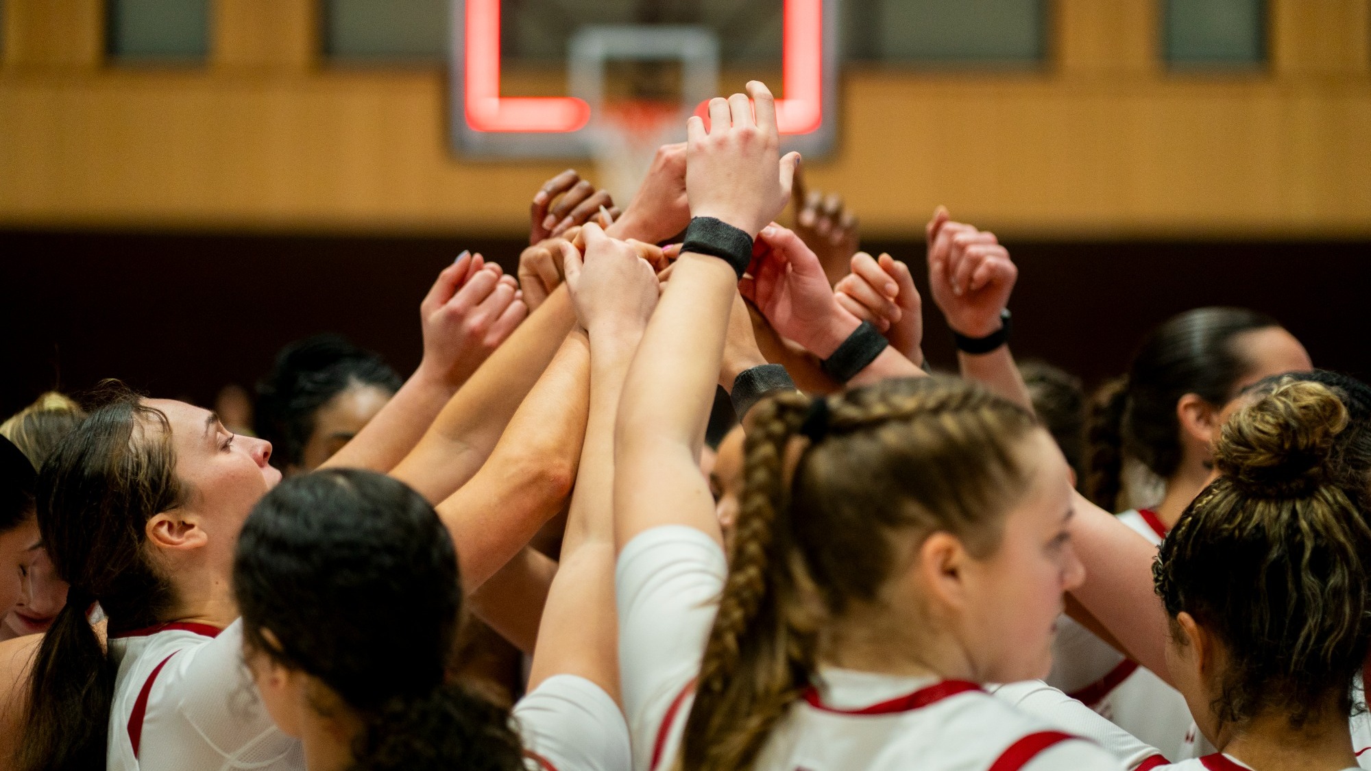 Harvard women's basketball