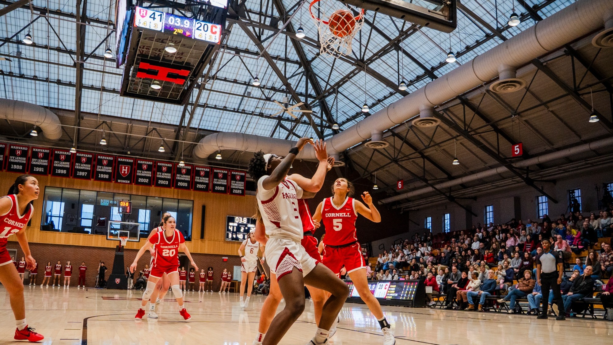 Harvard women's basketball
