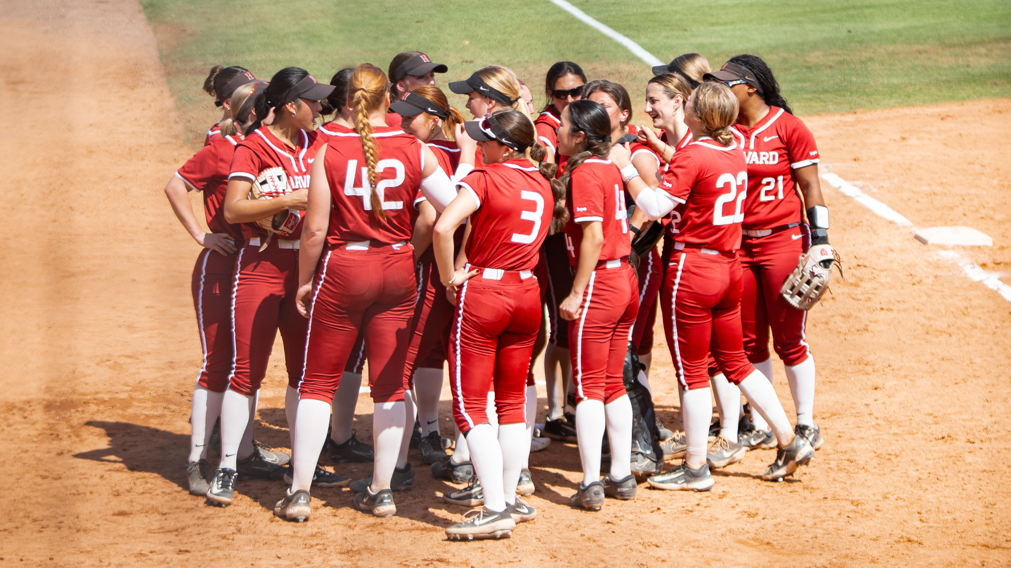 Harvard softball