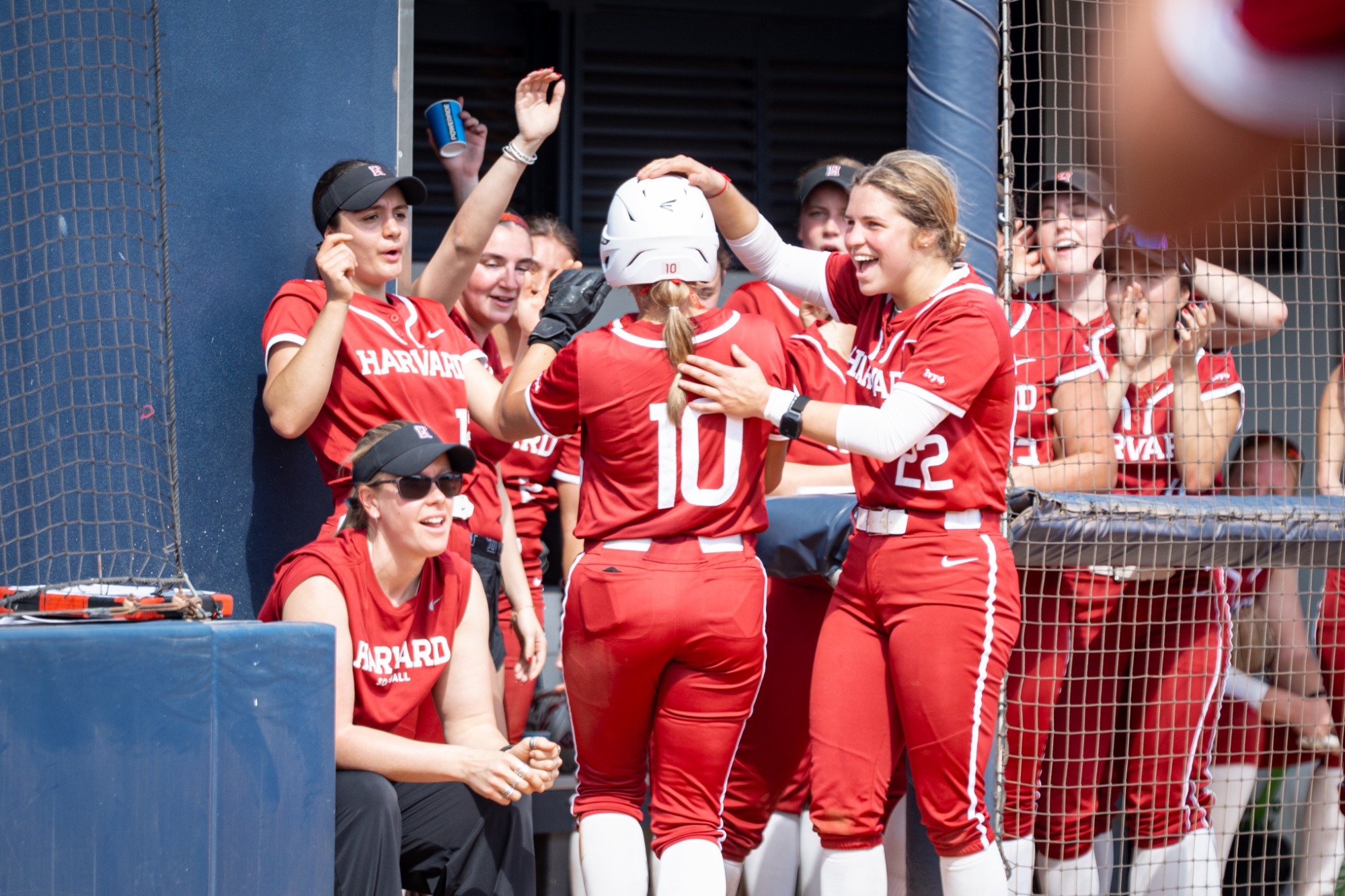 Harvard softball