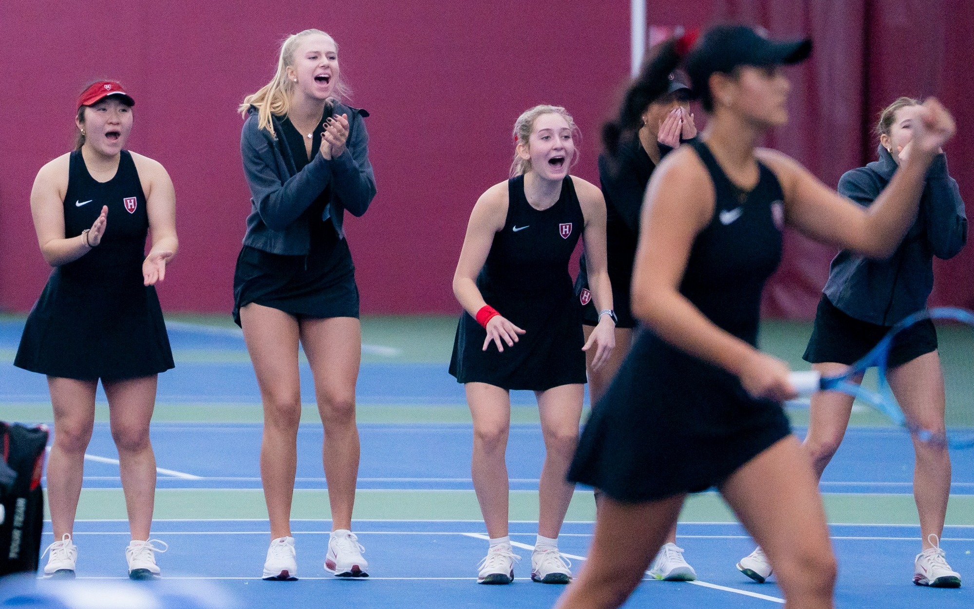 Harvard women's tennis