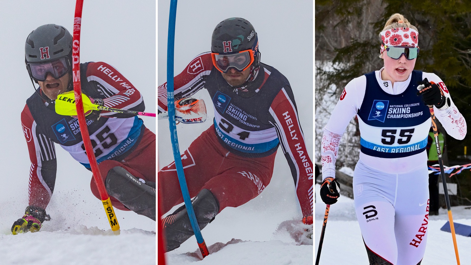 Duncan Armstrong, Luke Kearing, Meredith Schwartz