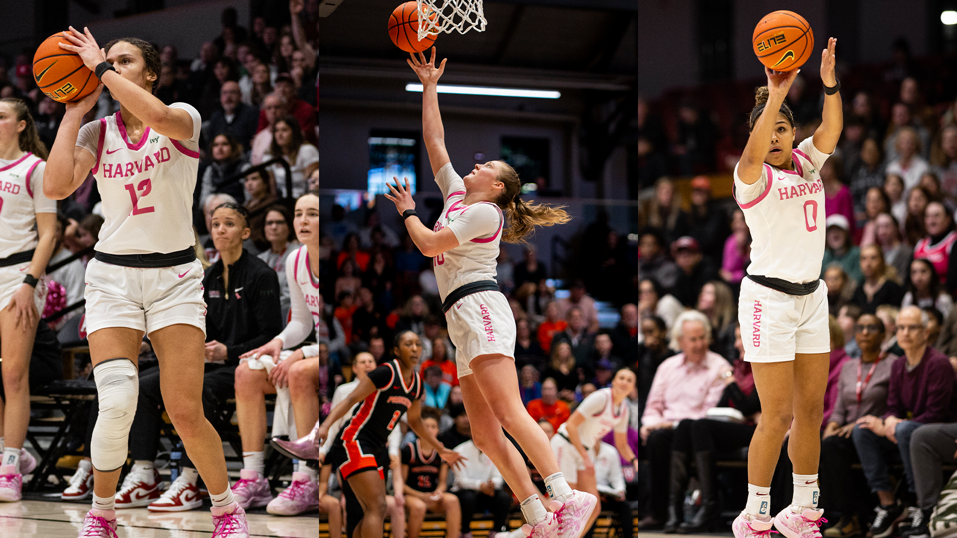 Harvard women's basketball All-Ivy honorees