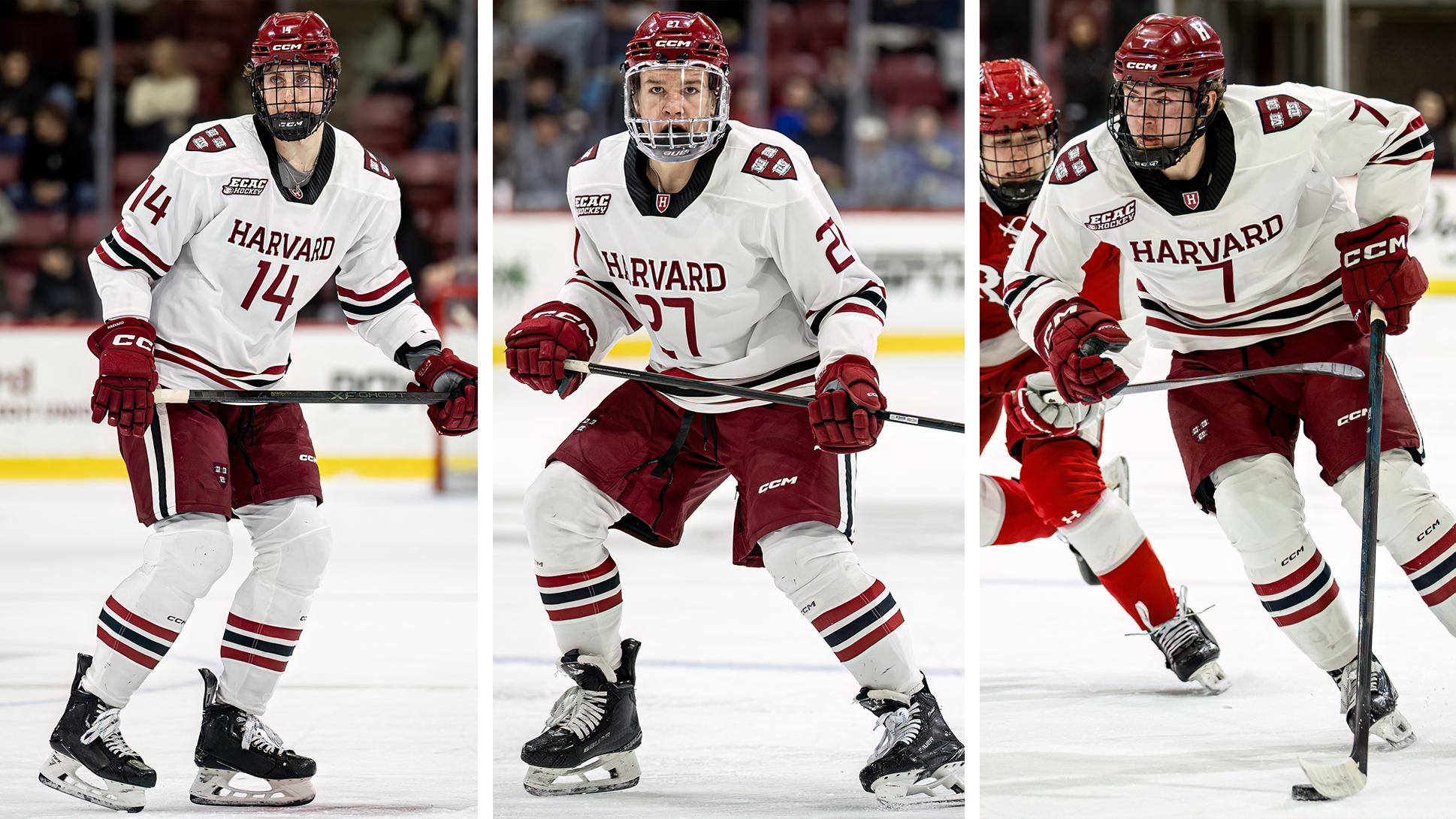 Matthew Morden, Mick Thompson, Philip Tresca