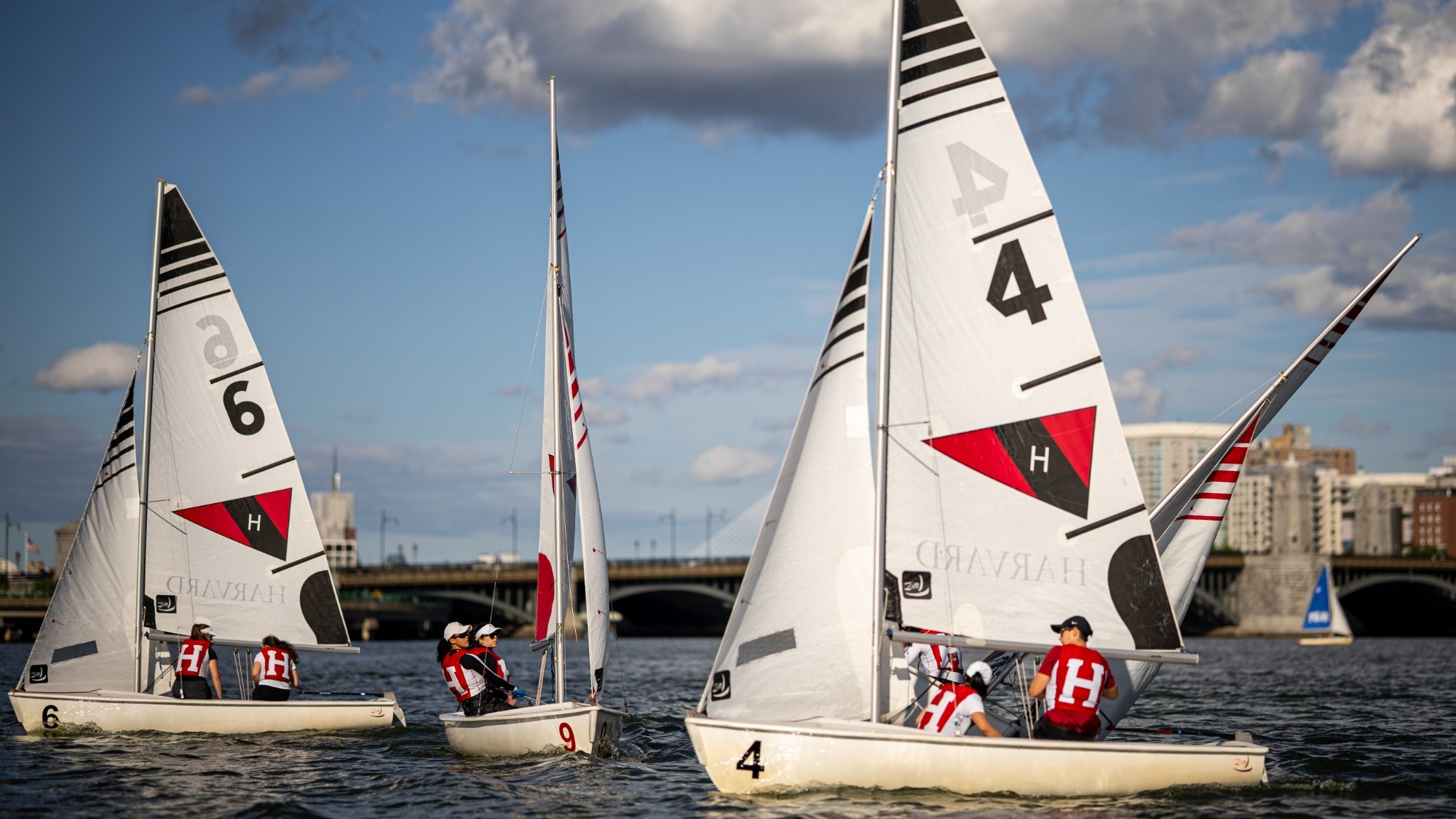 Harvard sailing