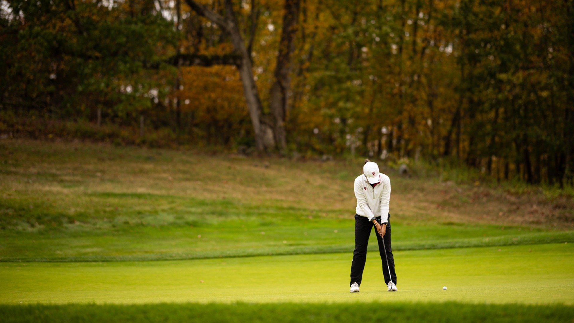 Vanessa Zhang Putting