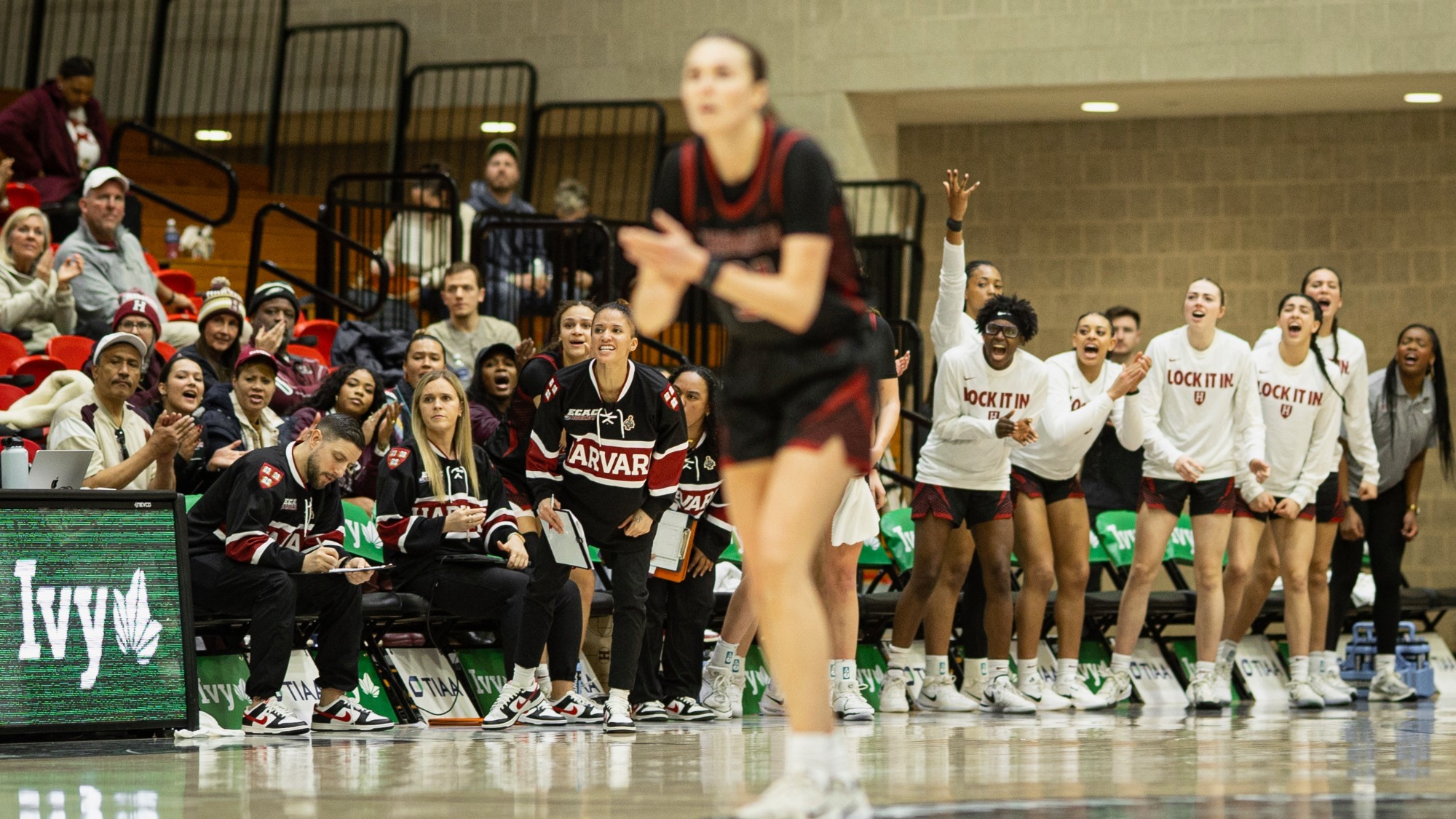 Harvard women's basketball