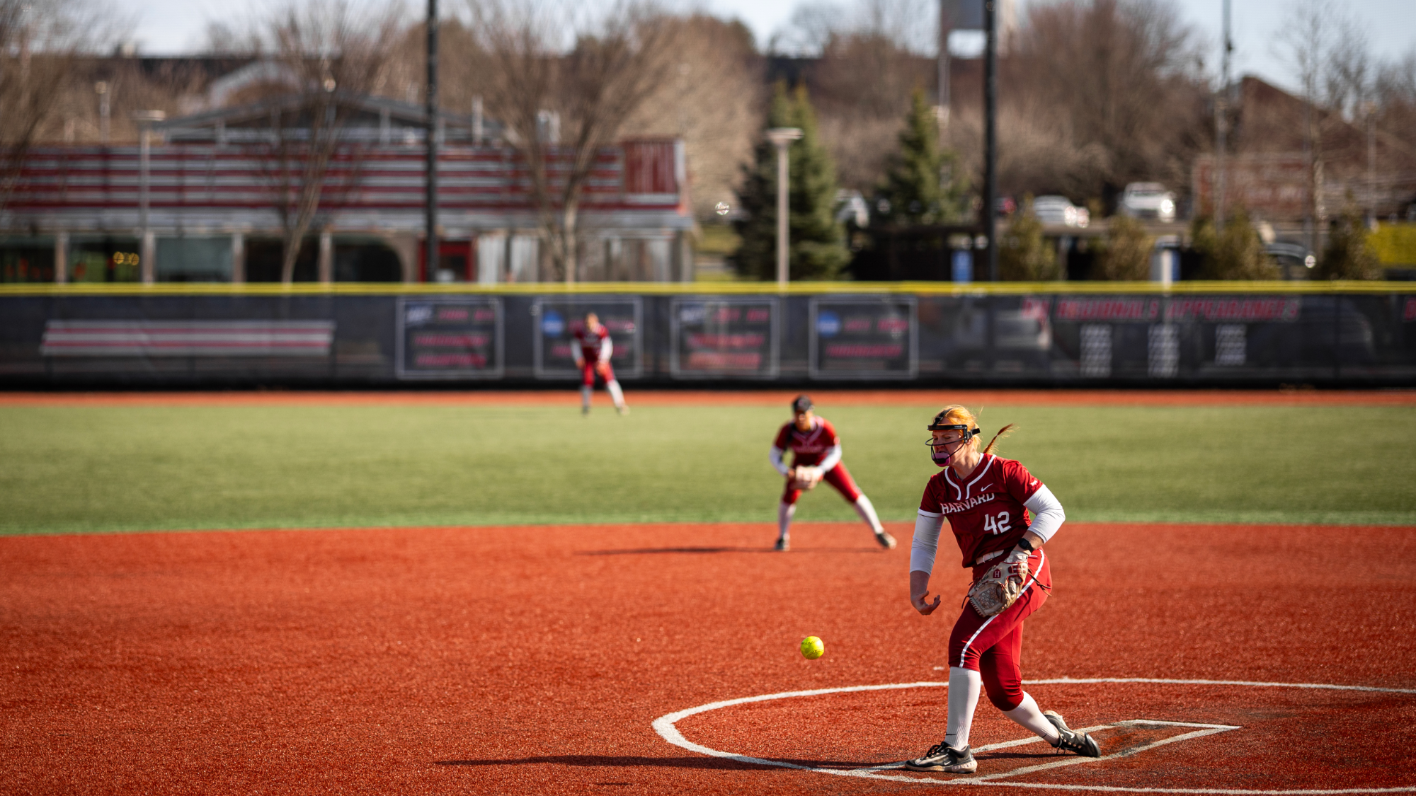 Harvard softball