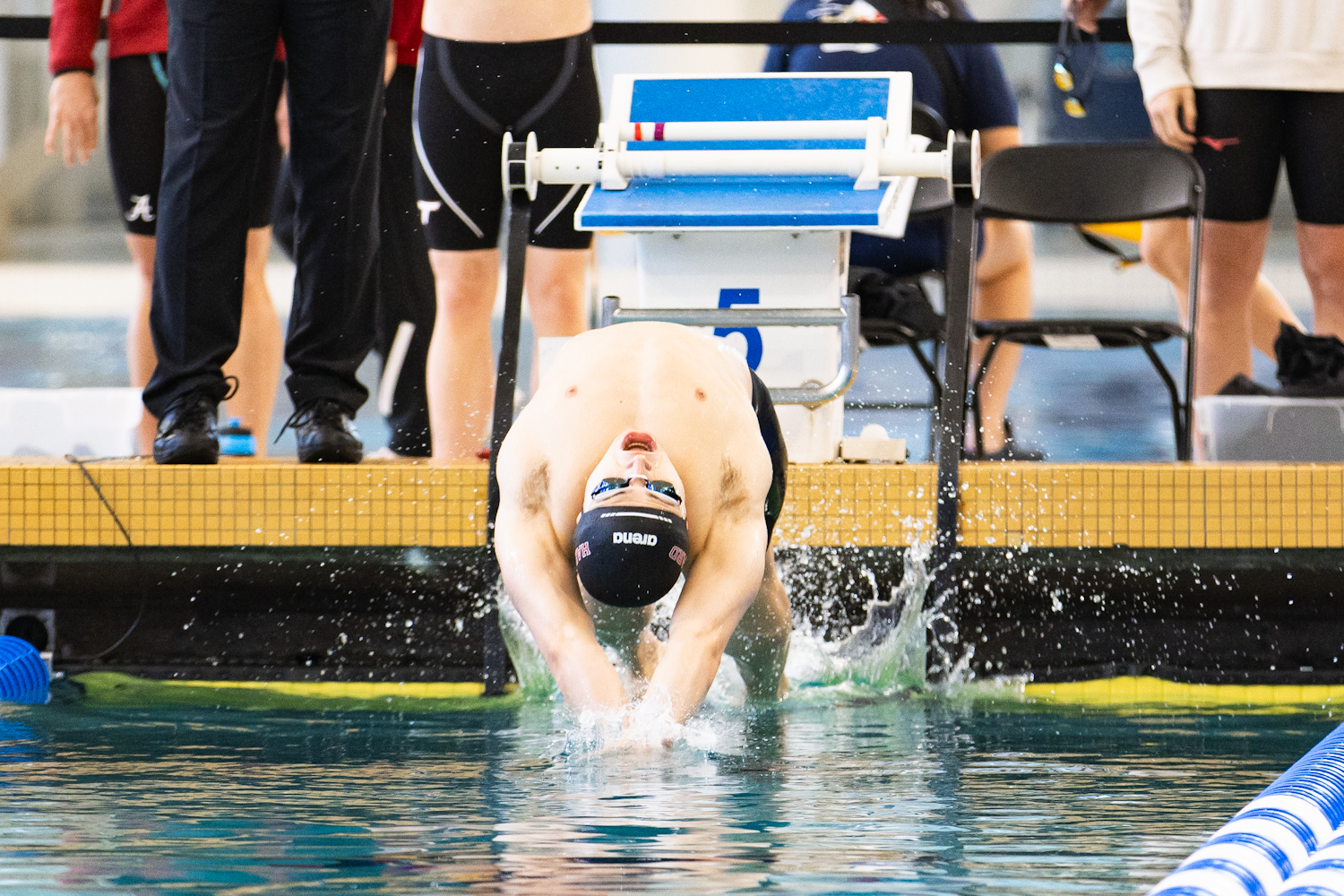 Men's Swimming and Diving at NCAA Championships (Credit: Austin Hurst)
