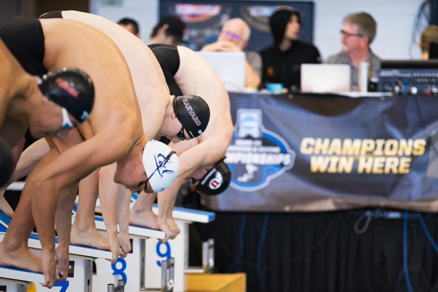 Men's Swimming and Diving at NCAA Championships (Credit: Austin Hurst)
