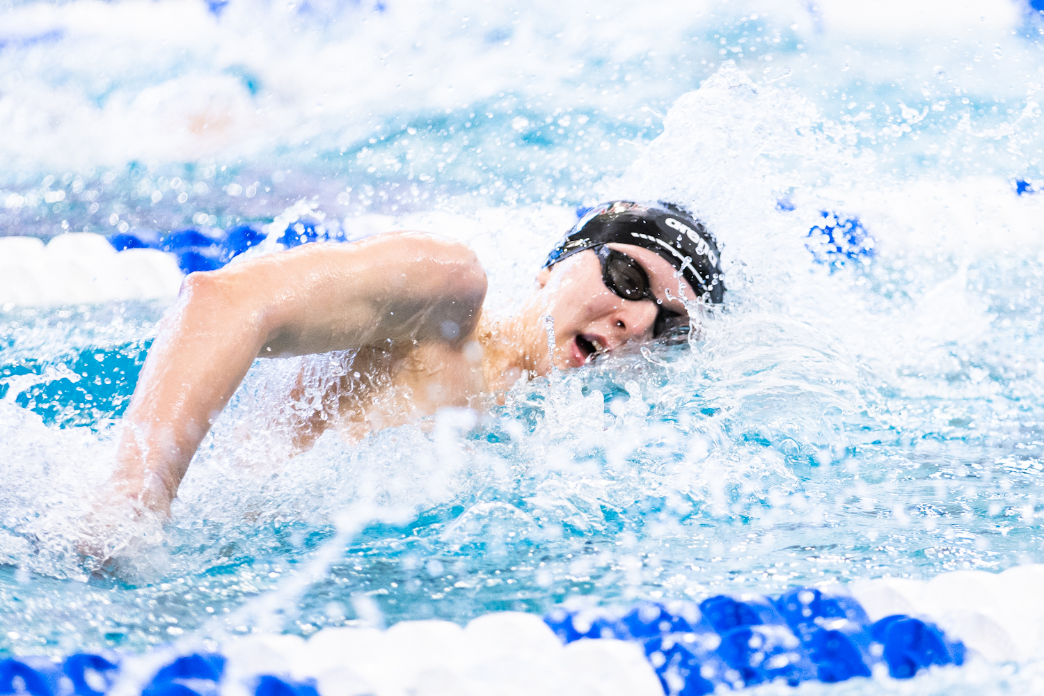 Men's Swimming and Diving at NCAA Championships (Credit: Austin Hurst)