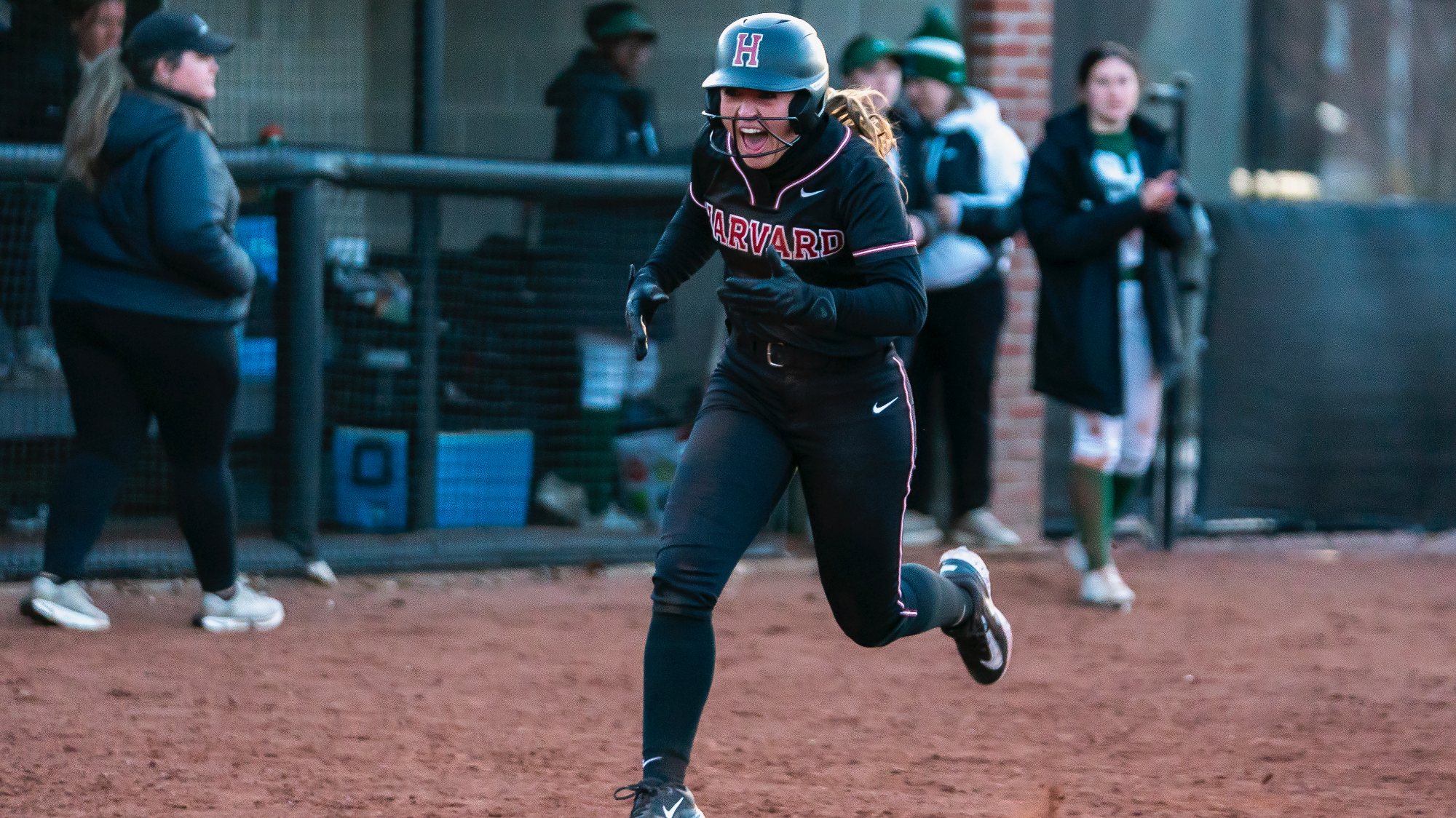 Harvard softball
