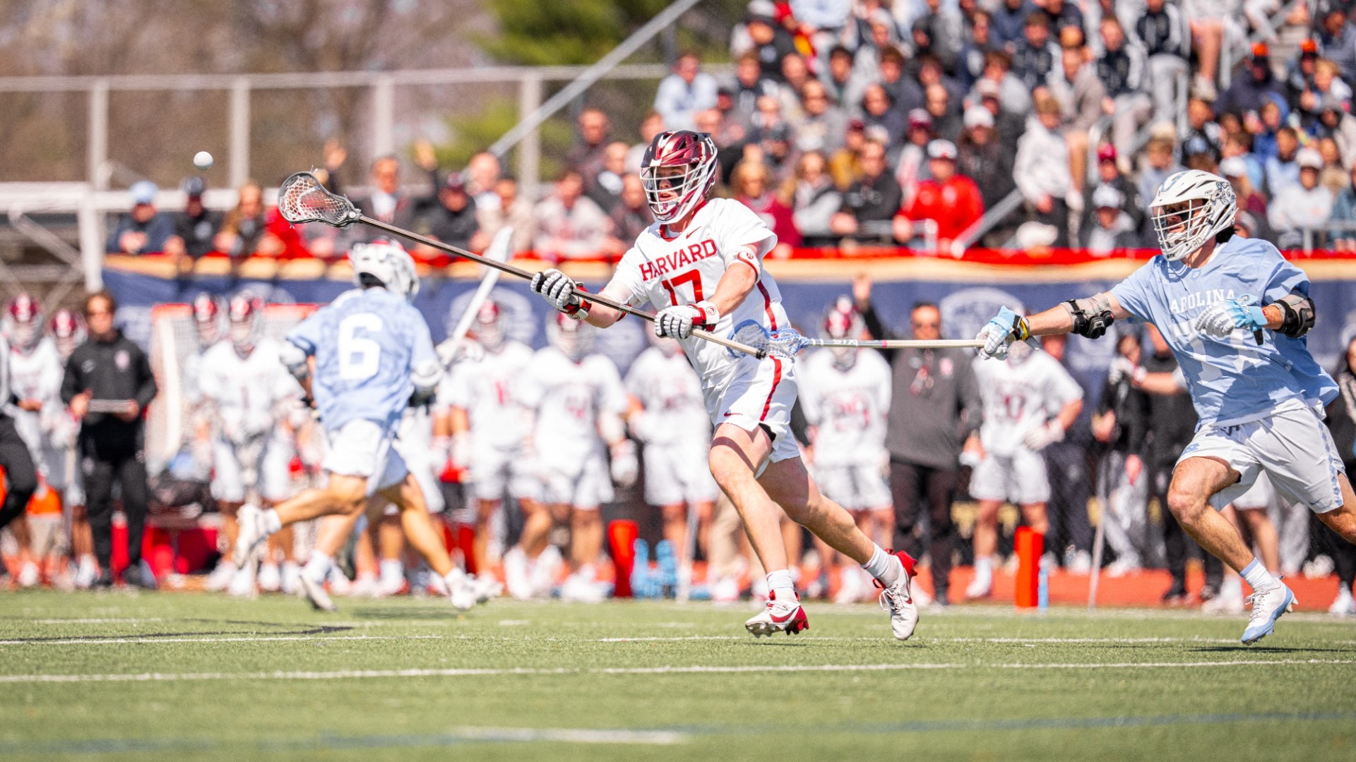 Michael Savadove Passes