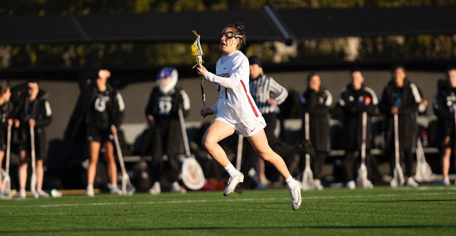 Despina Giannakopoulos 