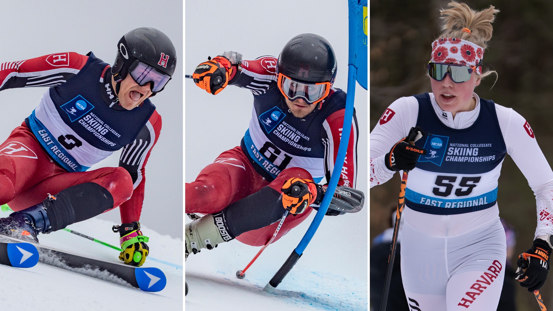 Duncan Armstrong, Luke Kearing, Meredith Schwartz