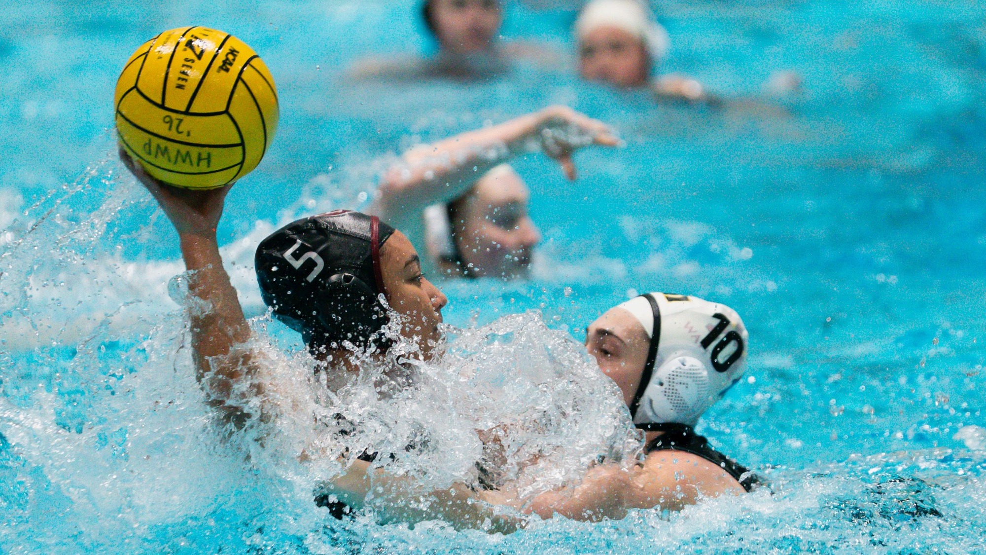 Harvard women's water polo